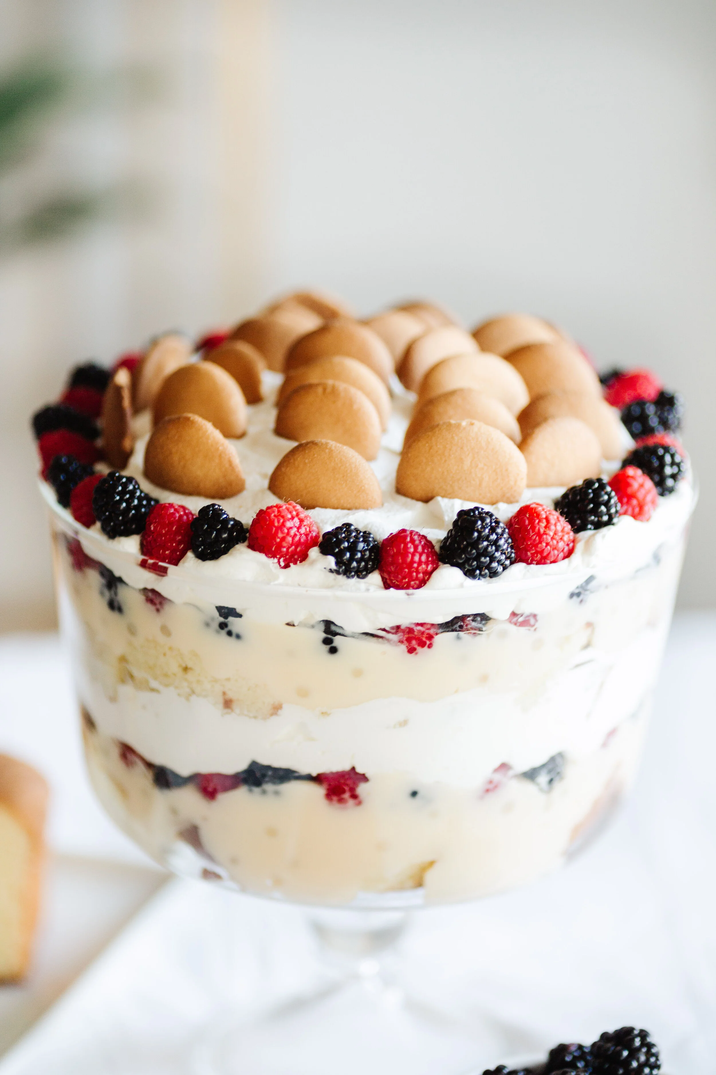 Berry Medley Tapioca Truffle-2.jpg
