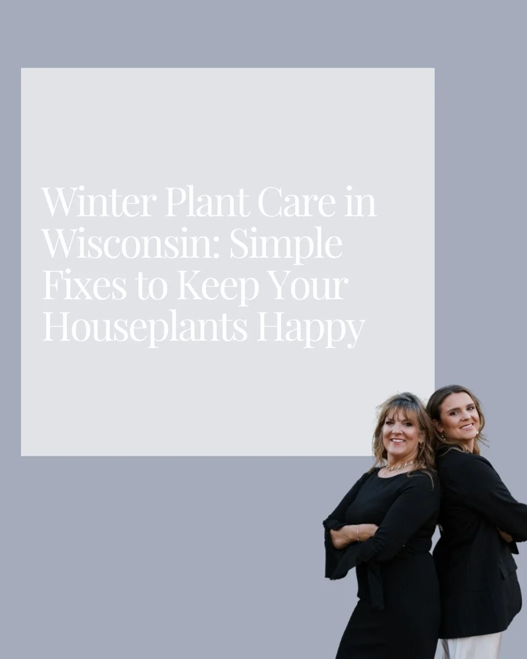 Winter Plant Care in Wisconsin: Simple Fixes to Keep Your Houseplants Happy