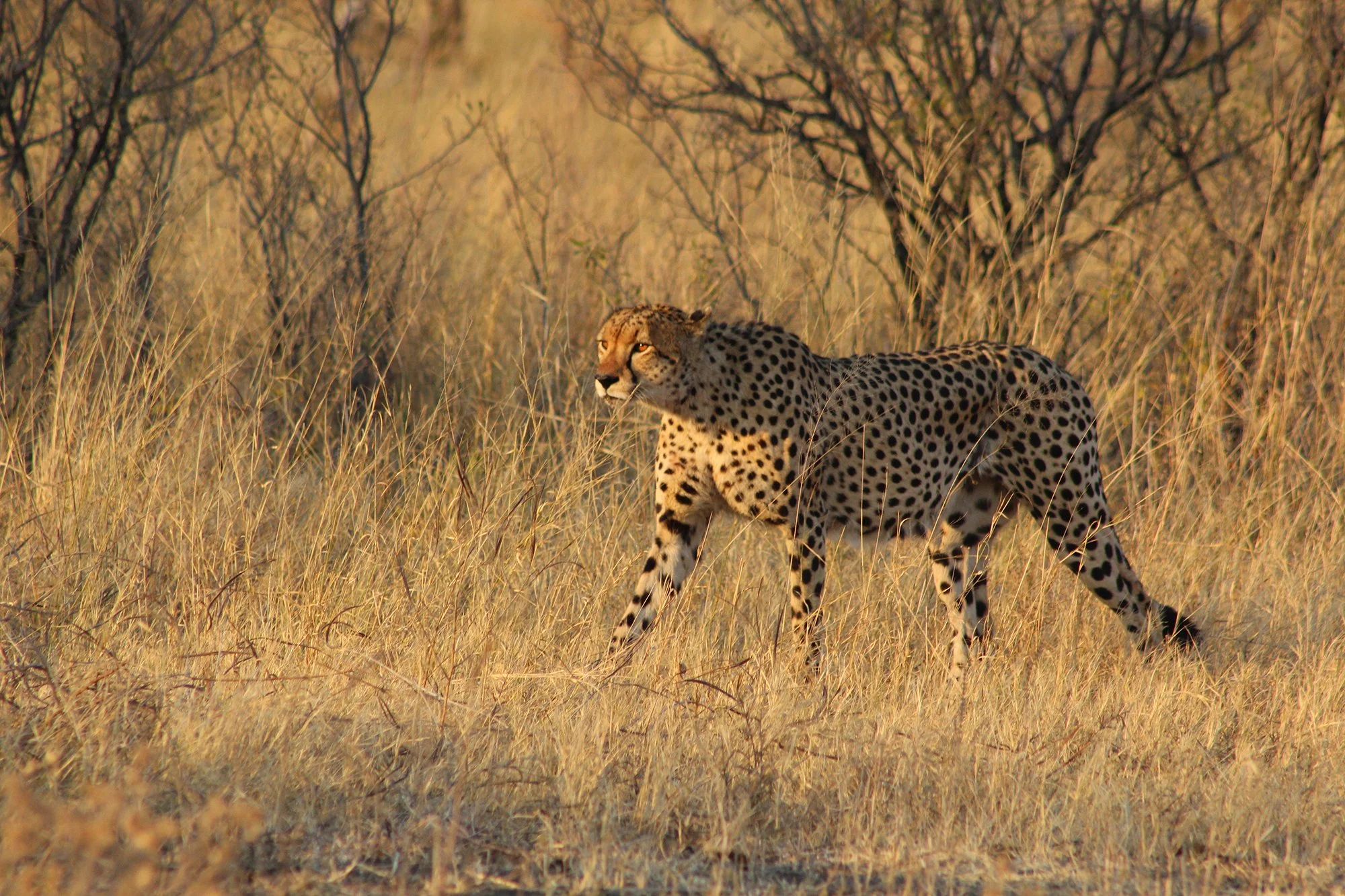 IMG_7042.JPG