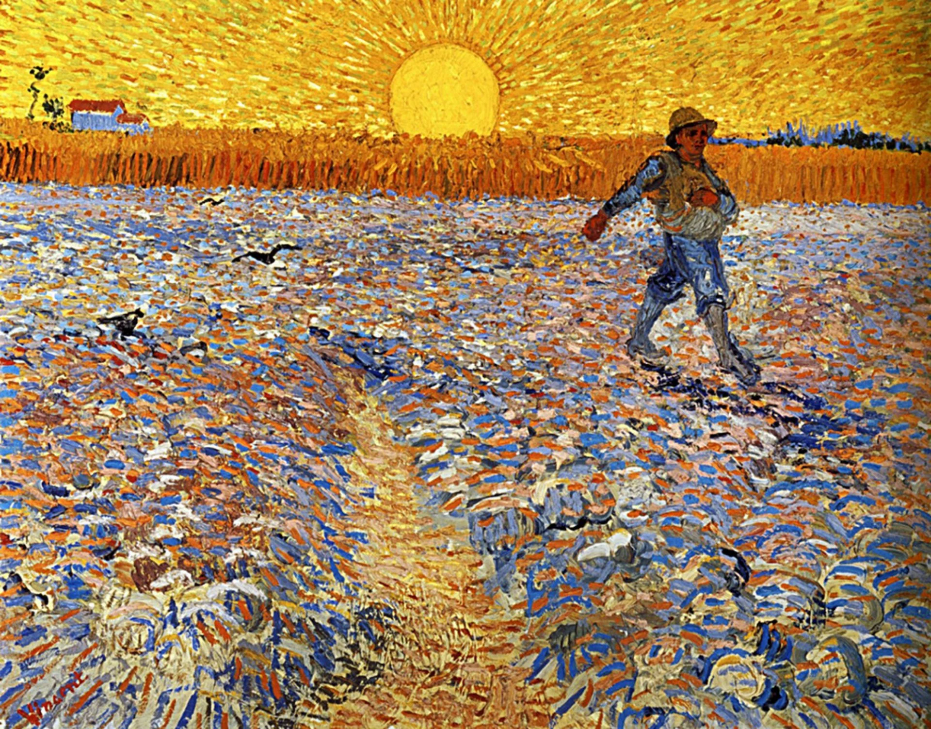 Image-4.jpg