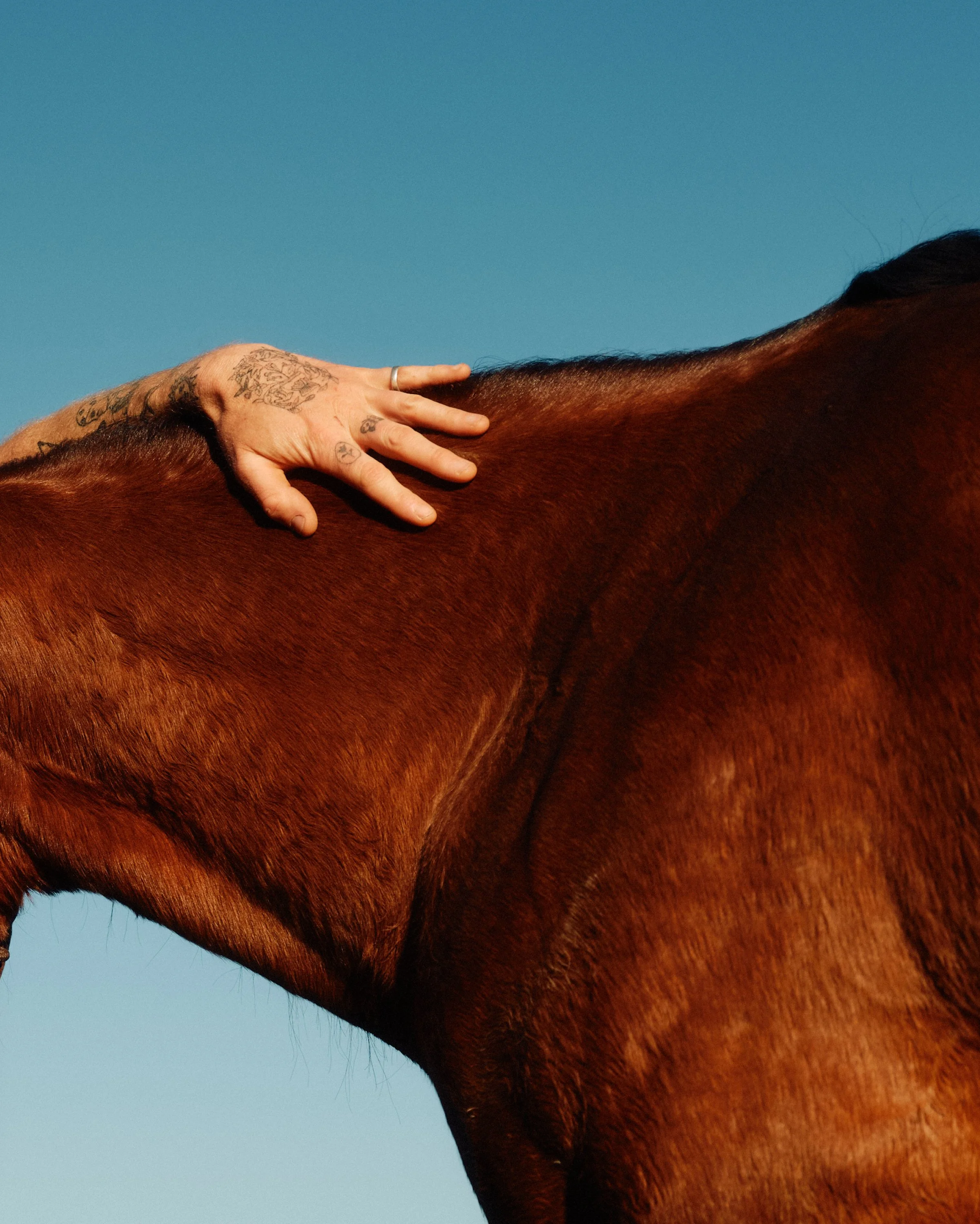 2024_AdamBaz_benlindbloom_DSCF3678 1 3.jpg