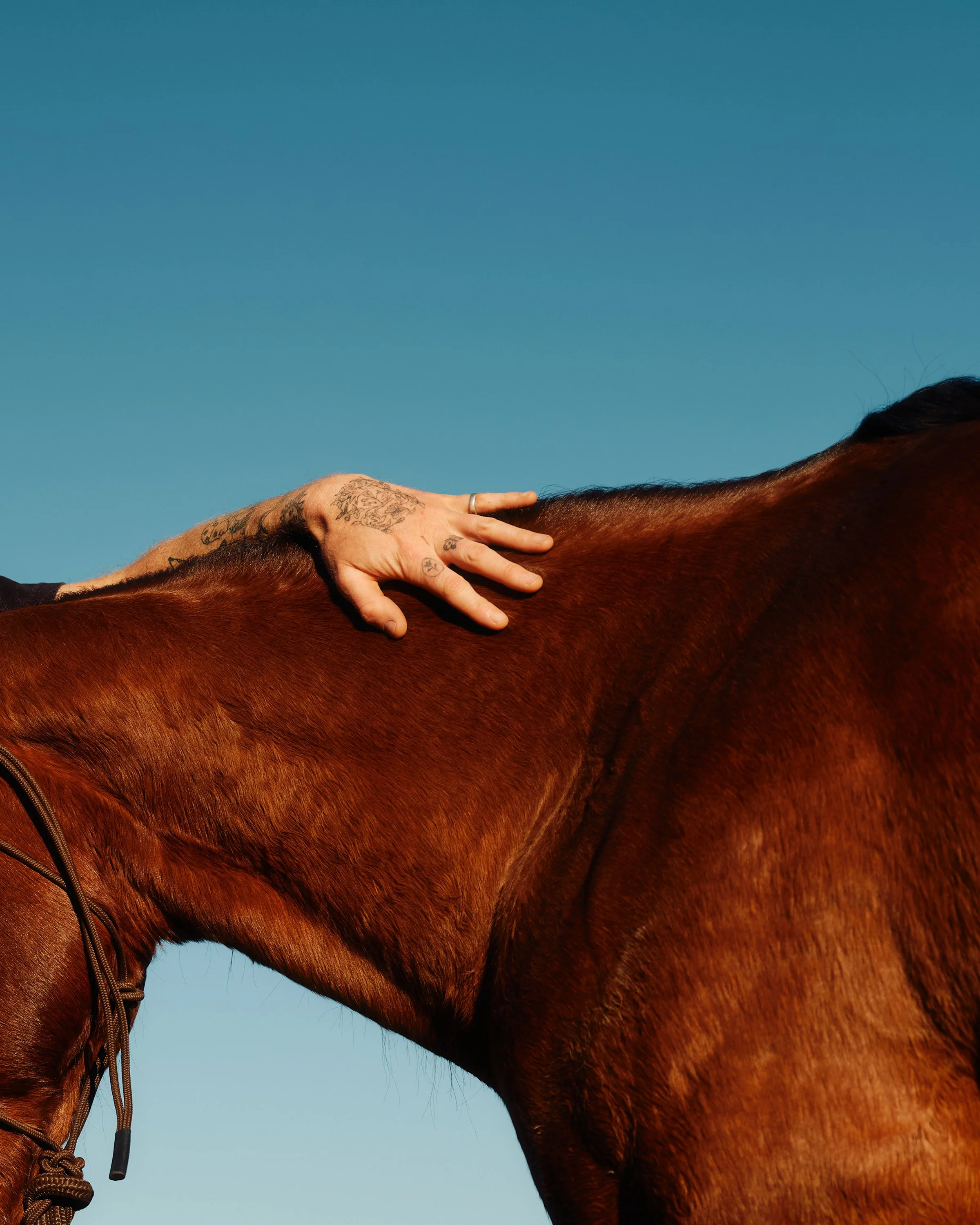 2024_AdamBaz_benlindbloom_DSCF3678 1.jpg