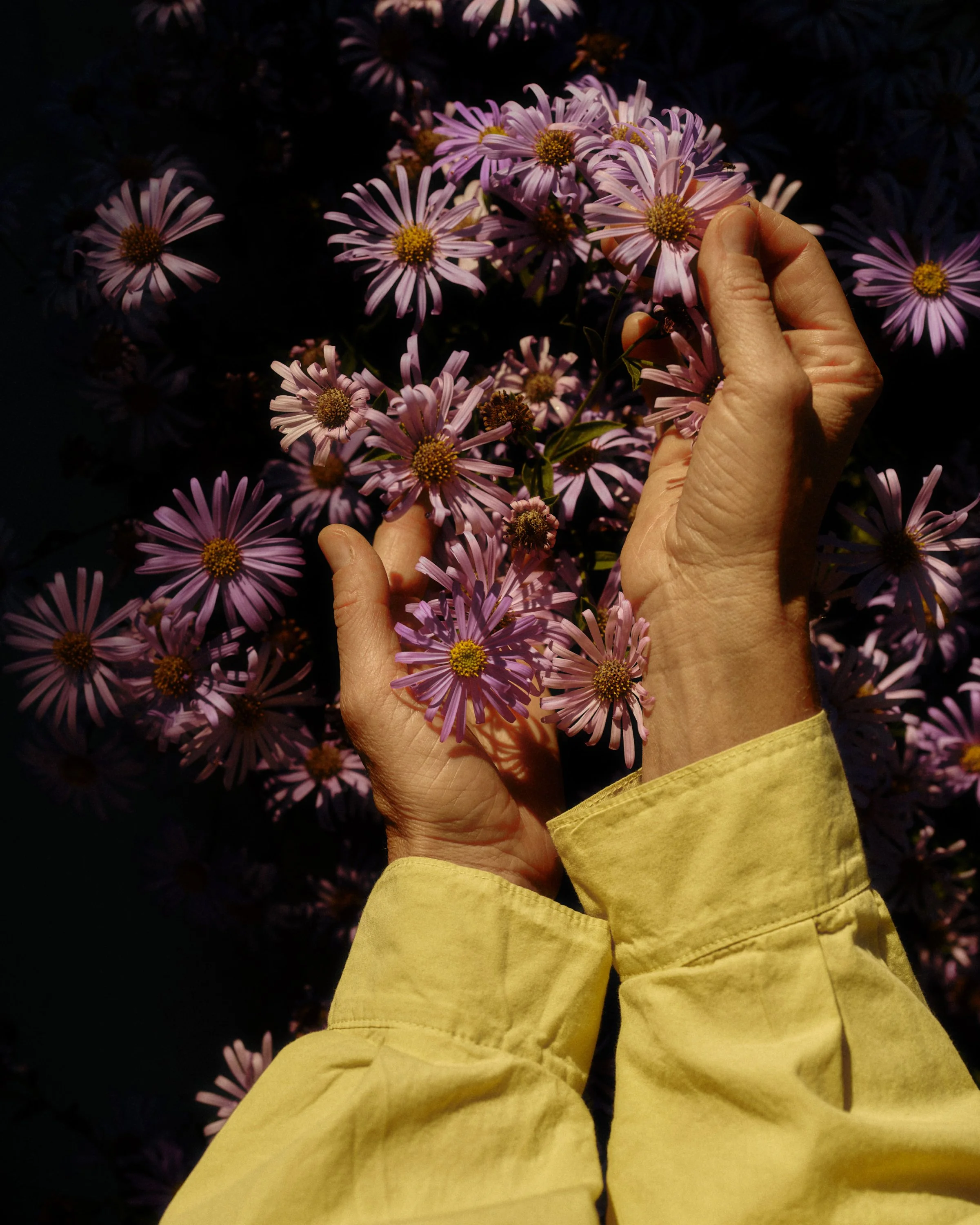 508_BenLindbloom_DSC_0675 5.jpg