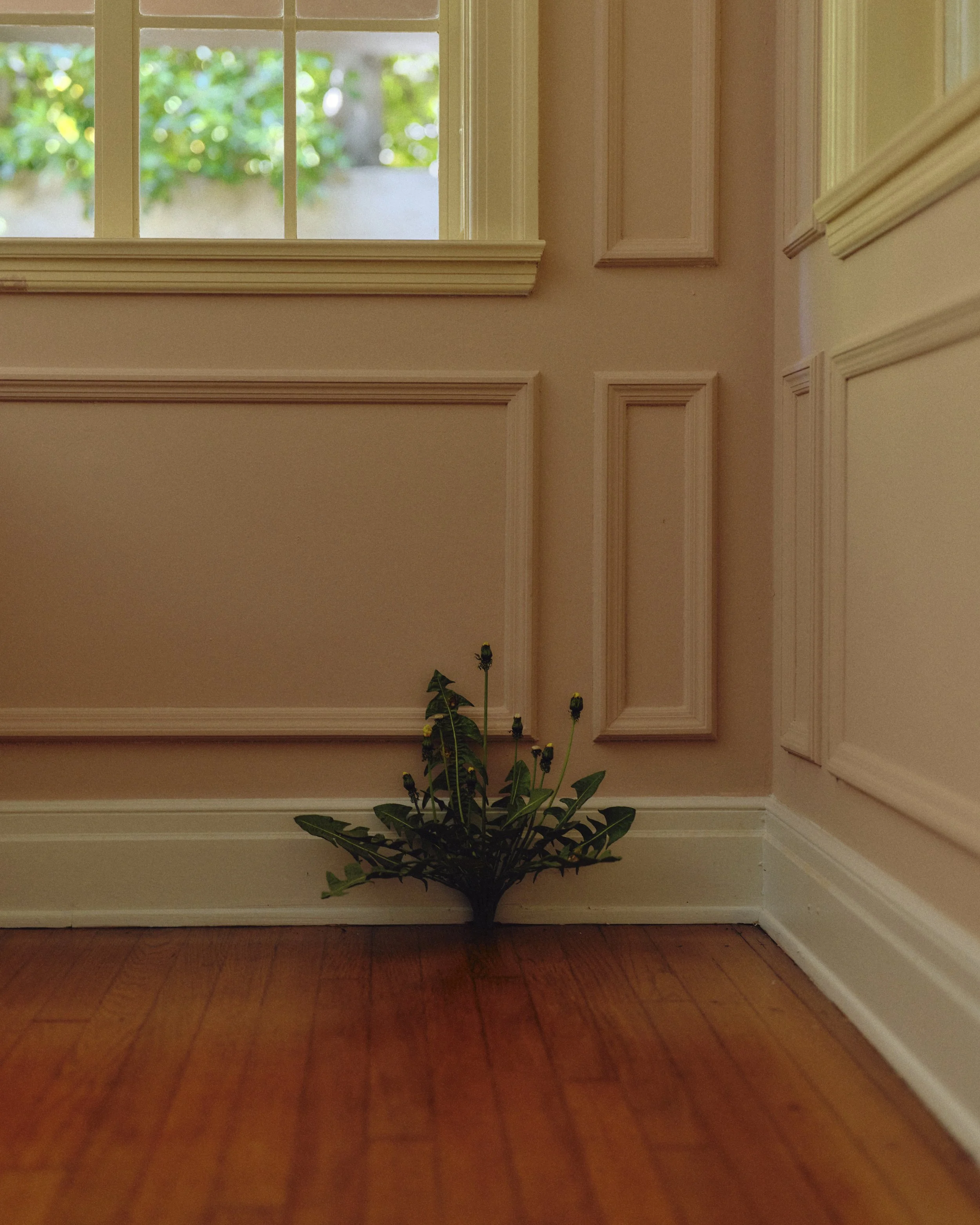 Lindbloom_TMAG_Diningroom_Details_DSF7245.jpg