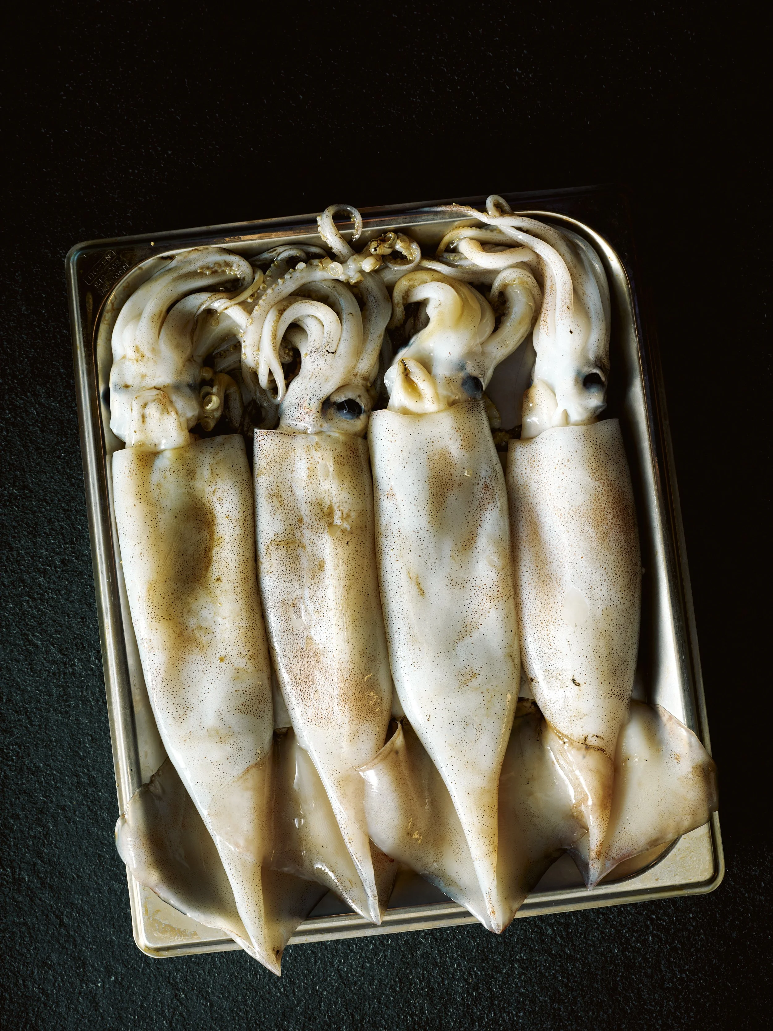 2026_NINI-TOKYO_SQUID_DSCF4171.jpg