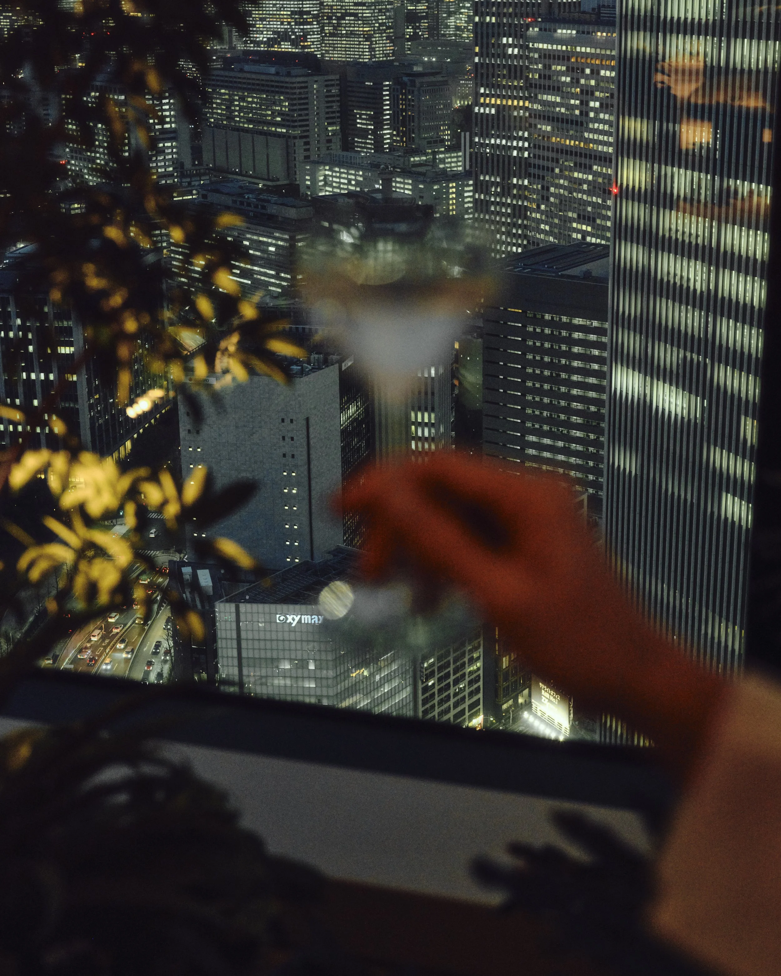2026_SPOTTED-STONE-TOKYO_NEEDSNAME_DSF5021.jpg