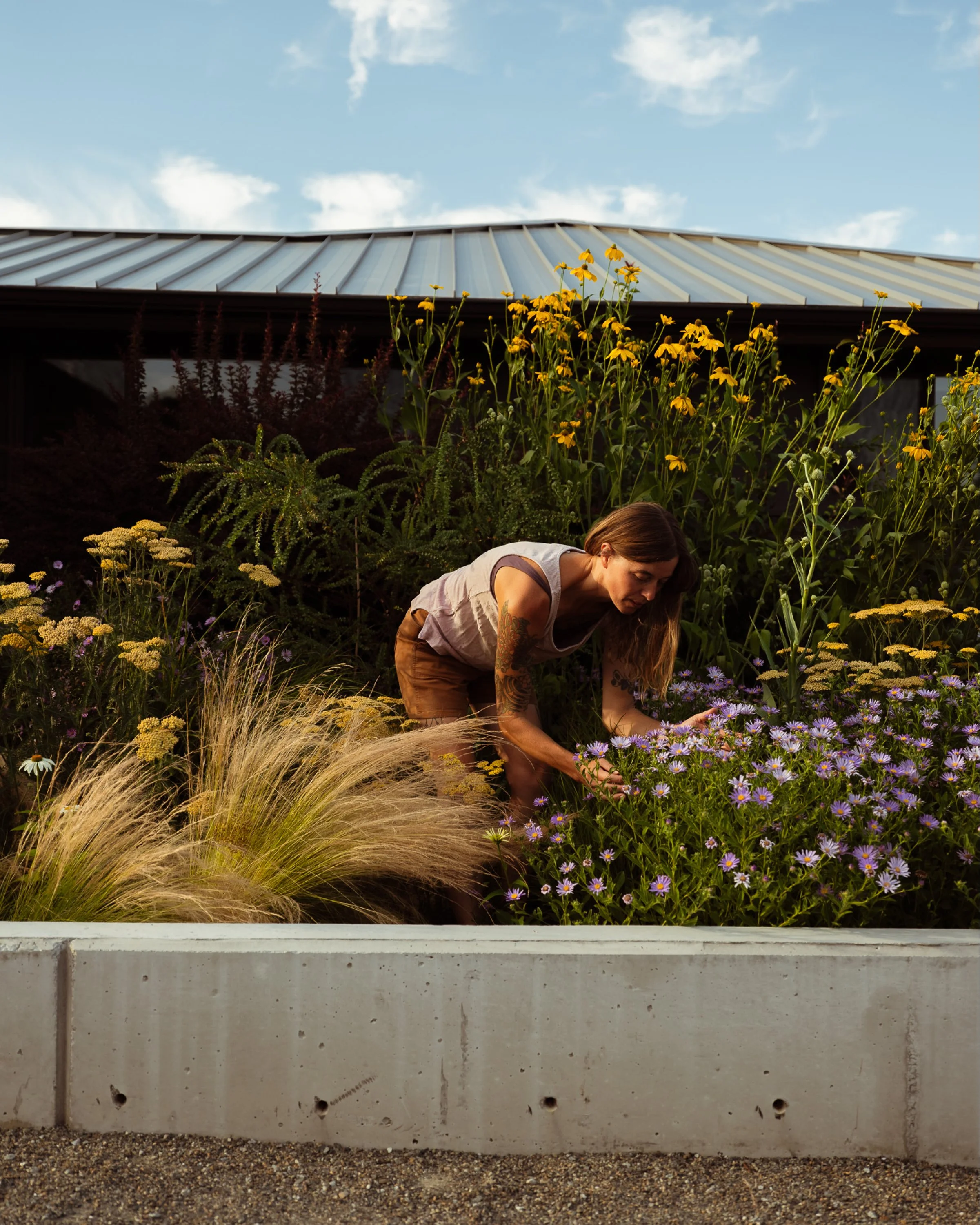 2023_LVNGRMLNDSCP-Process_benlindbloom_DSCF2260 1.jpg