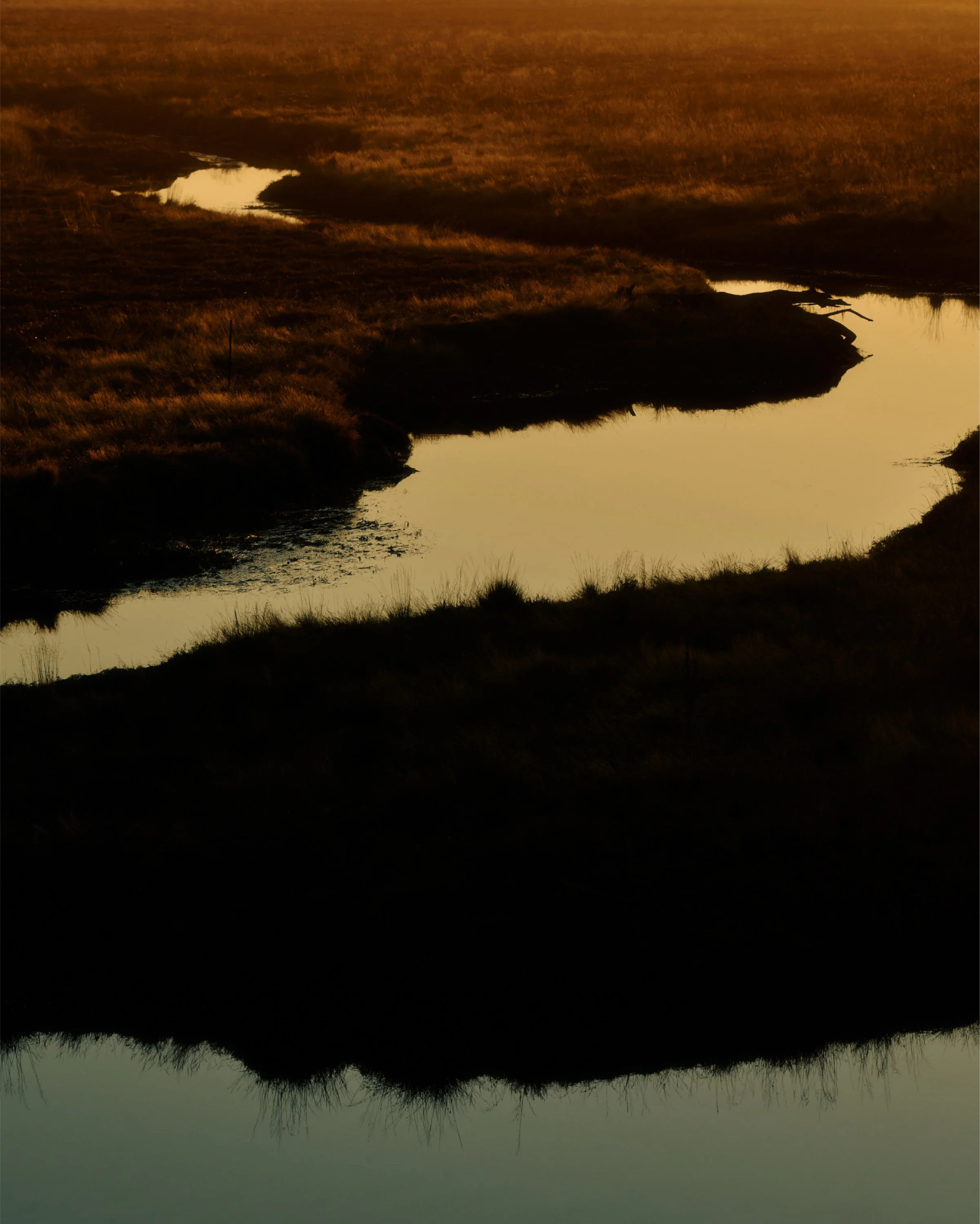 2024_SJ-Other_BenLindbloom_850_9942 2.jpg