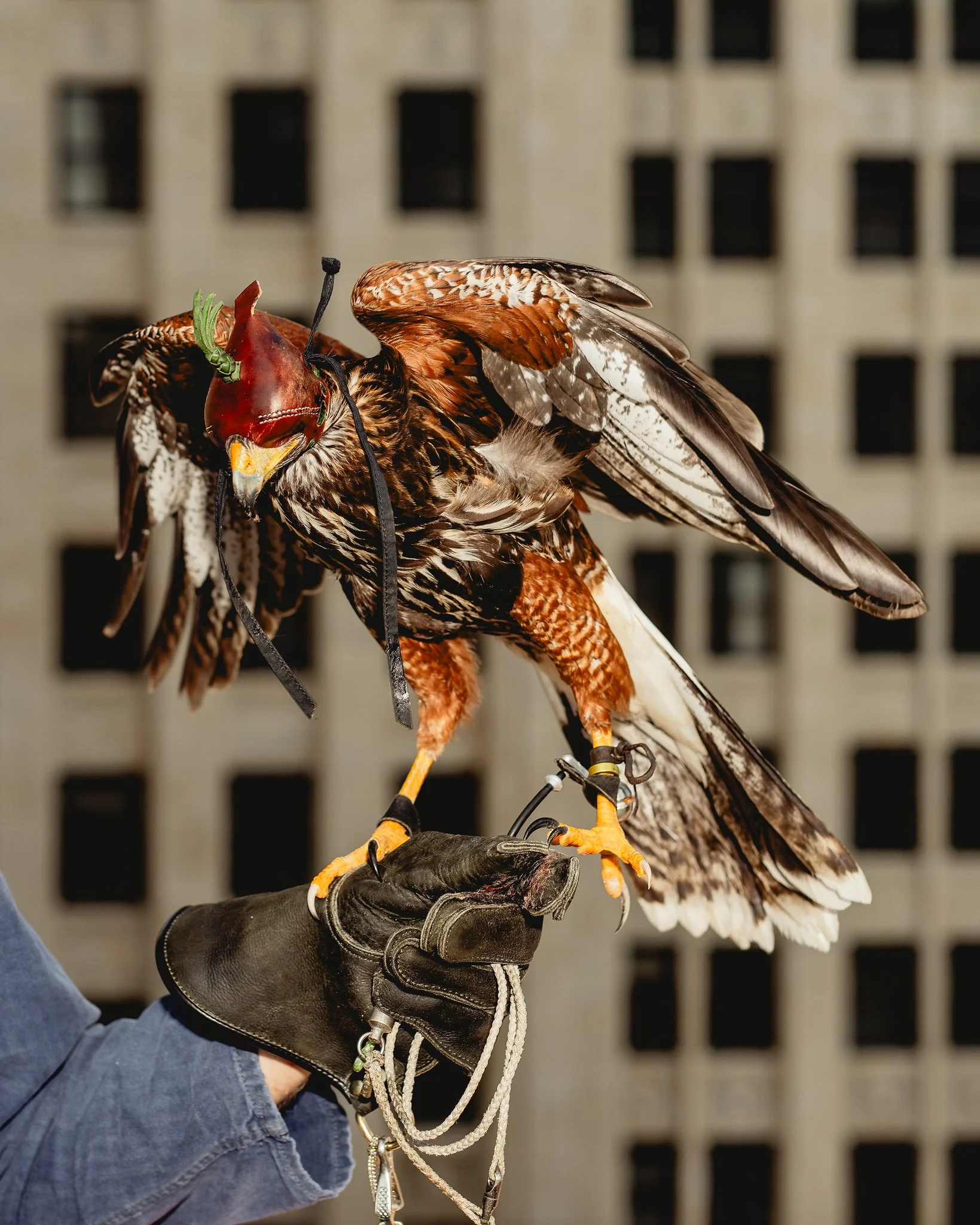 SmithJournal_AdamBaz_BLI_6152 1.jpg