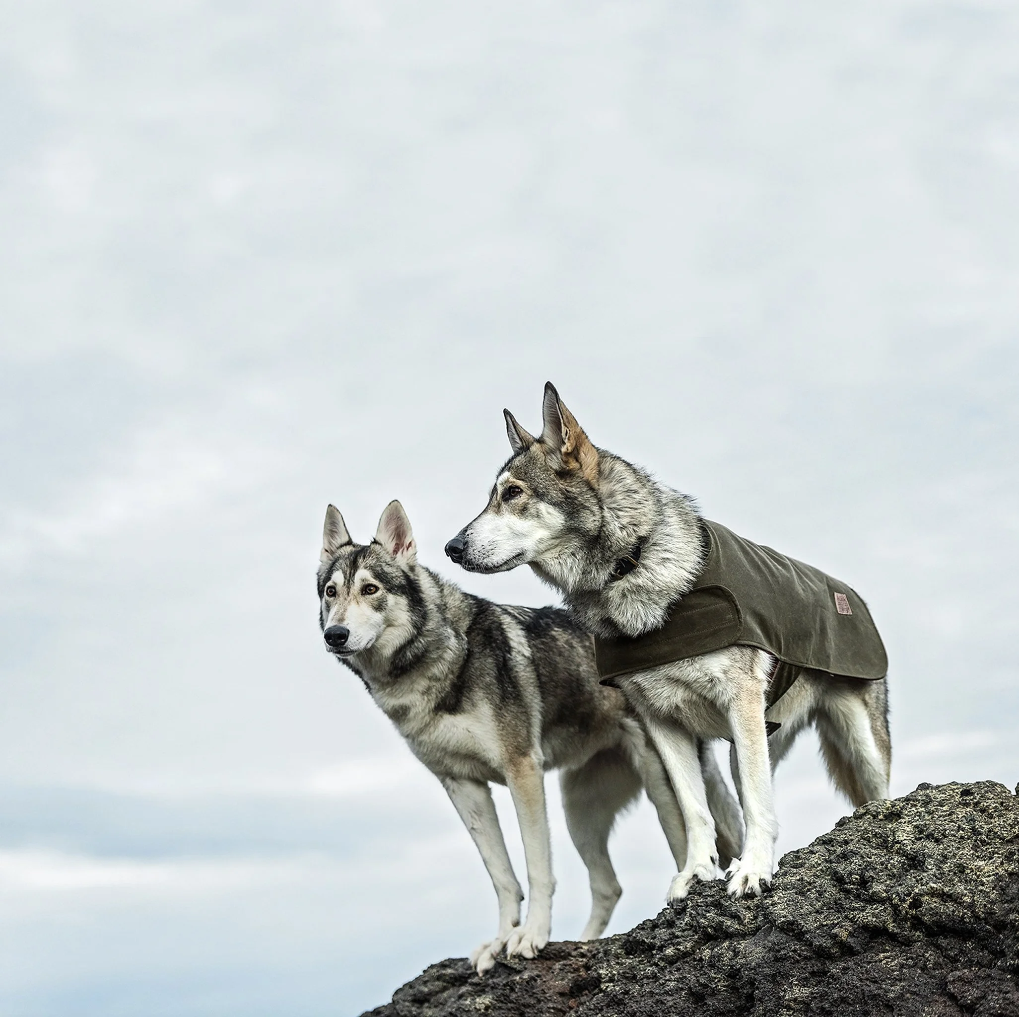 FIL-NE511A-030 2.jpg