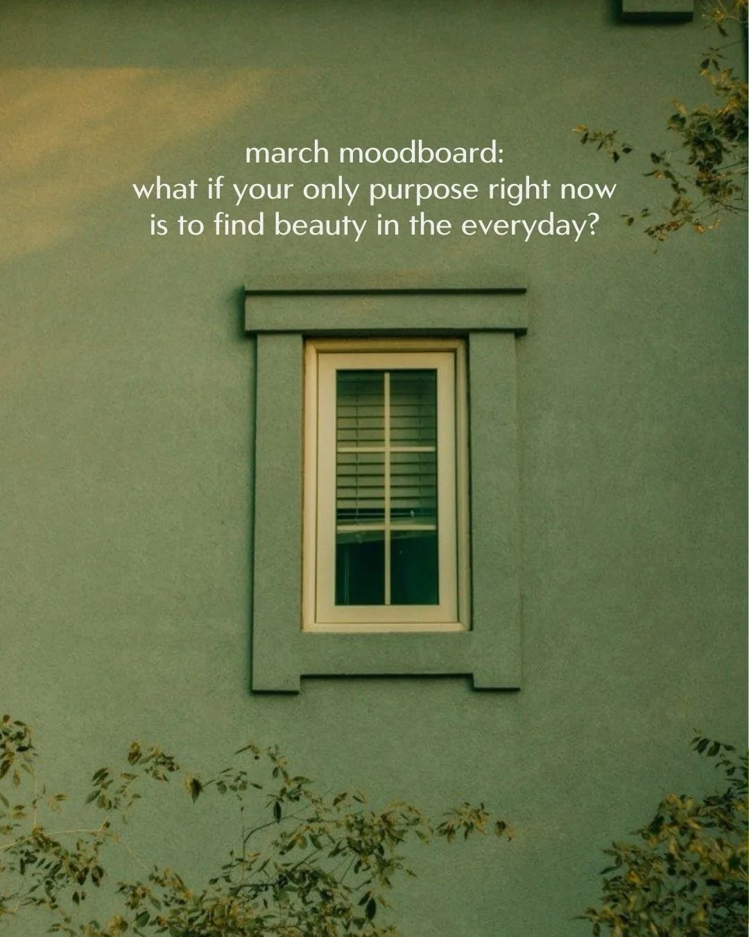 Purpose often gets confused and wrapped up with how we make money in the world.

Clients often come to me longing to find their soul purpose - what they don&rsquo;t realise is that by living a life that brings them joy - soaking up the beauty that&rs