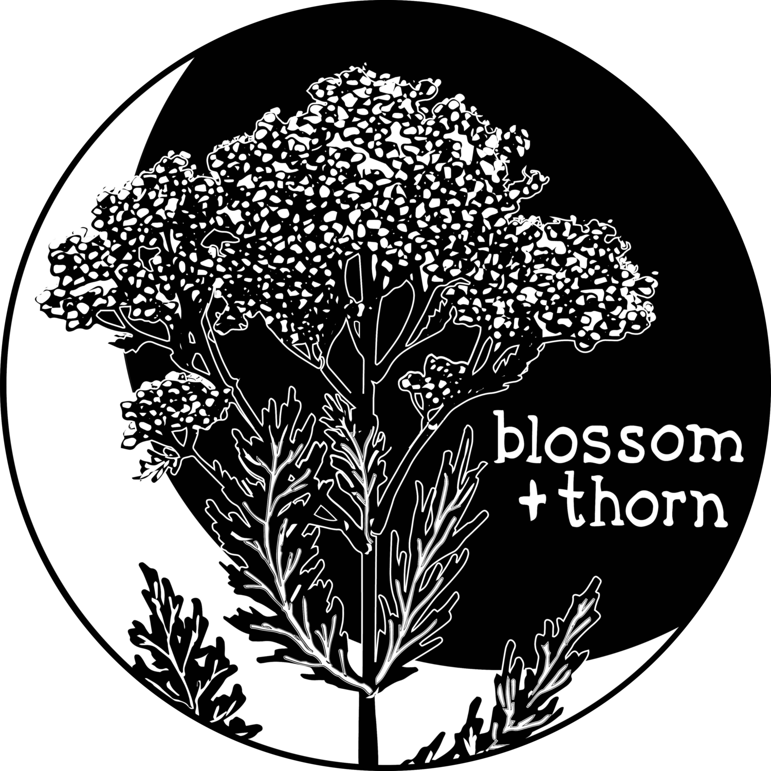 blossom and thorn