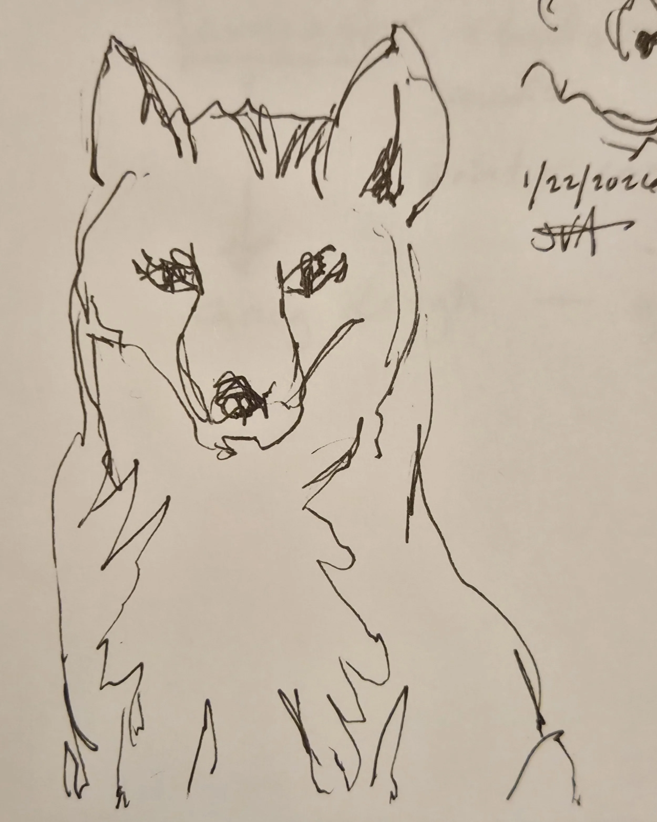 An Ugly Little Drawing of a Fox
