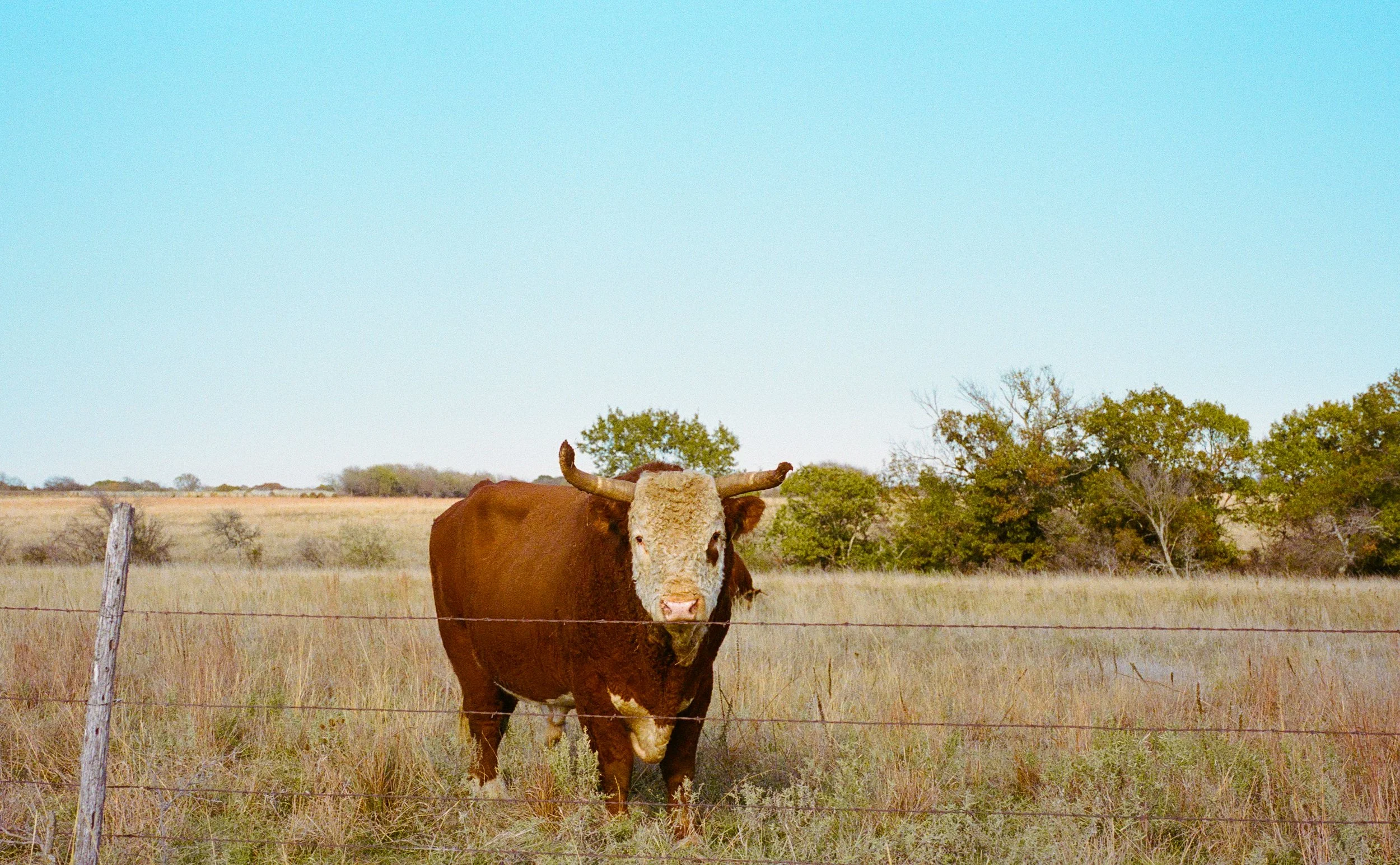 Film_Small_Town_Texas_2025_Leica_MP (22 of 39).jpg