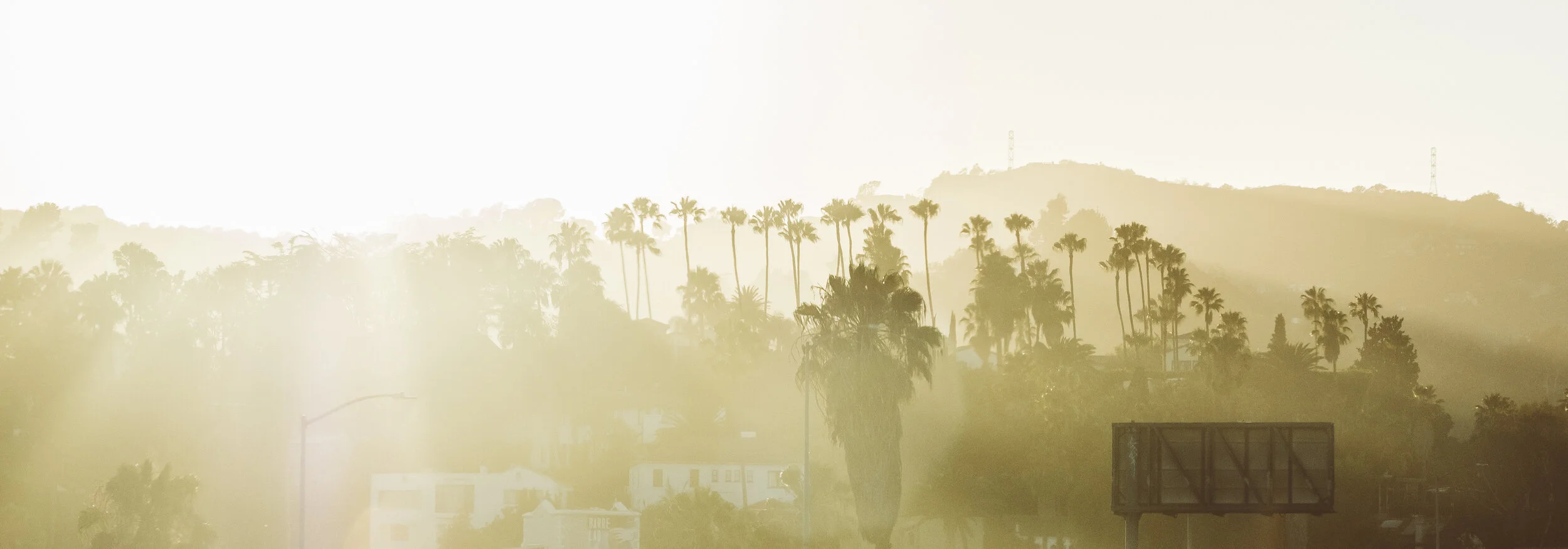 New LA DT shots-1363.jpg