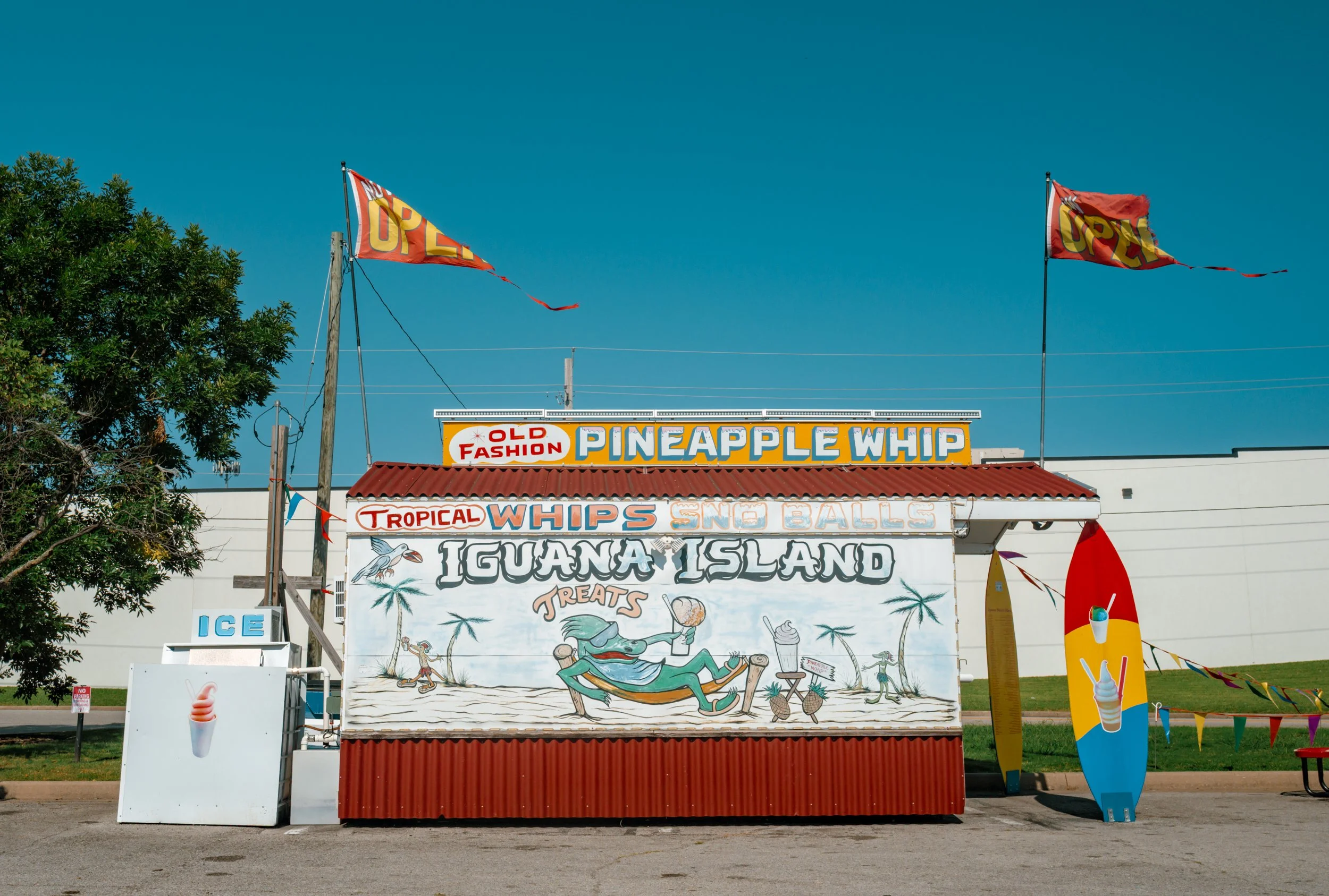 L1000881.jpg