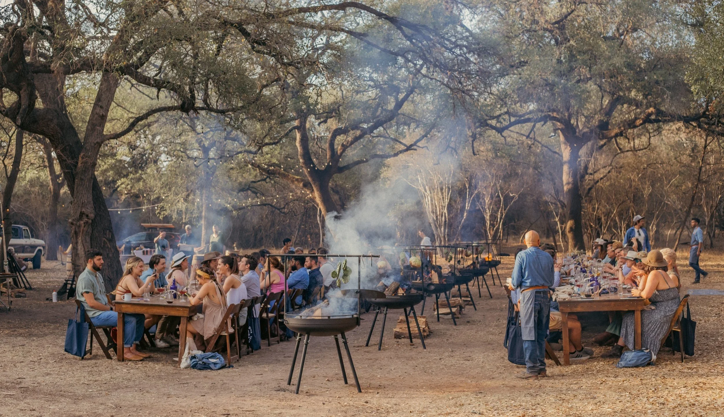 Wild Kitchen Foraging Our Work — Wild Kitchen
