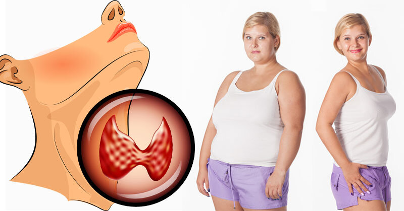 How to Control Your Metabolism by Thyroid & Growth Hormone