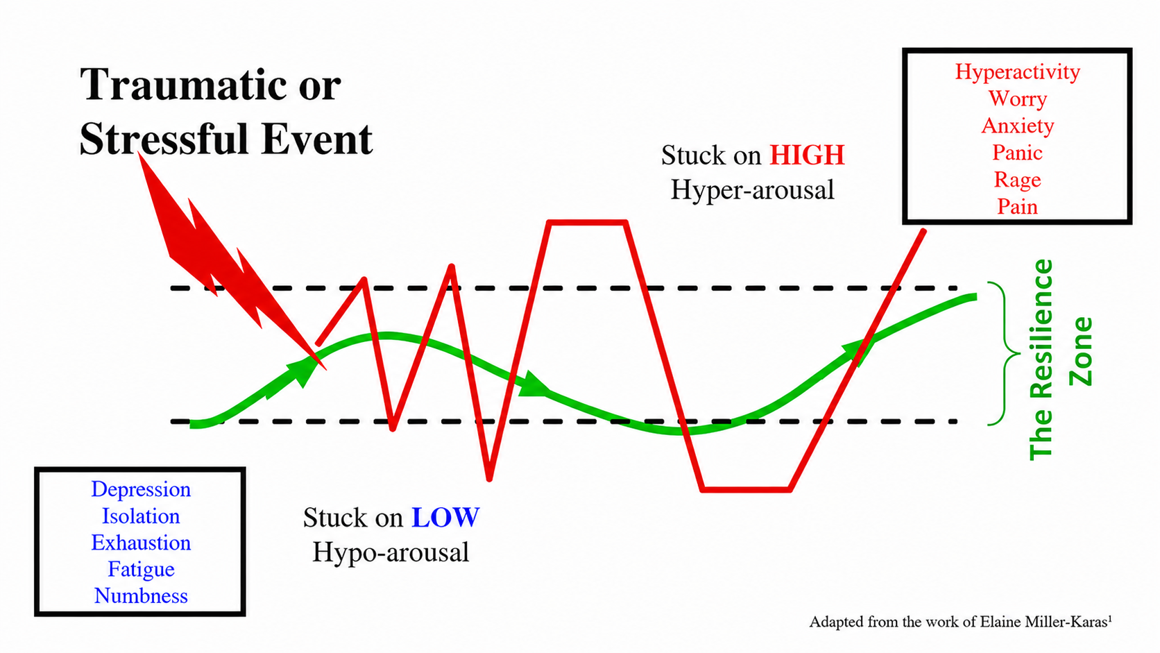 A chart illustrating the effects of a traumatic or stressful event on the brain's arousal levels. It shows a red line representing hyperarousal with peaks labeled 'HIGH' and a blue line representing hypoarousal with lows labeled 'LOW'. The chart highlights the zones of hyperactivity and hypoactivity and lists symptoms such as worry, anxiety, panic, and fatigue. An arrow points to the red line indicating a stress response, referencing high arousal.