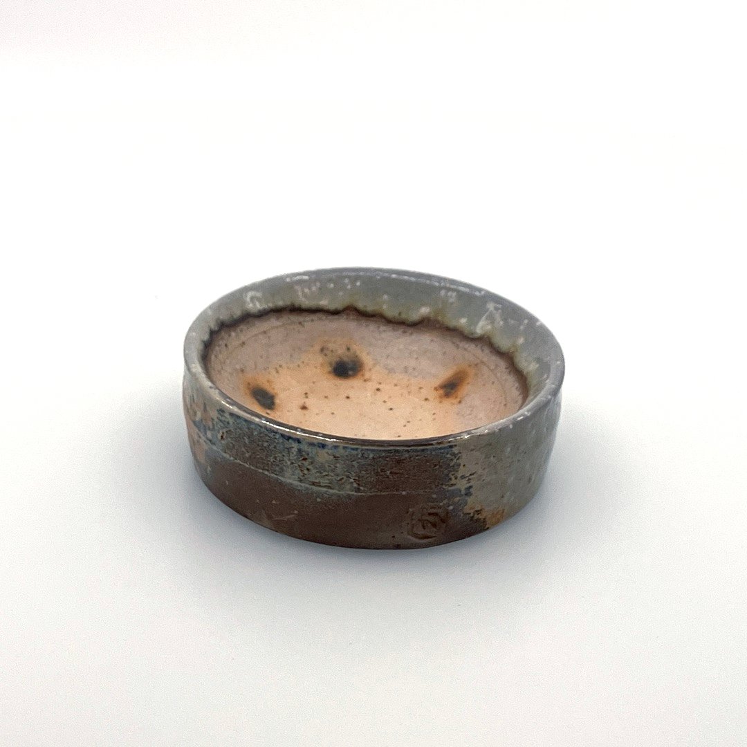 Harrison Levenstein: Salt Pinch 1