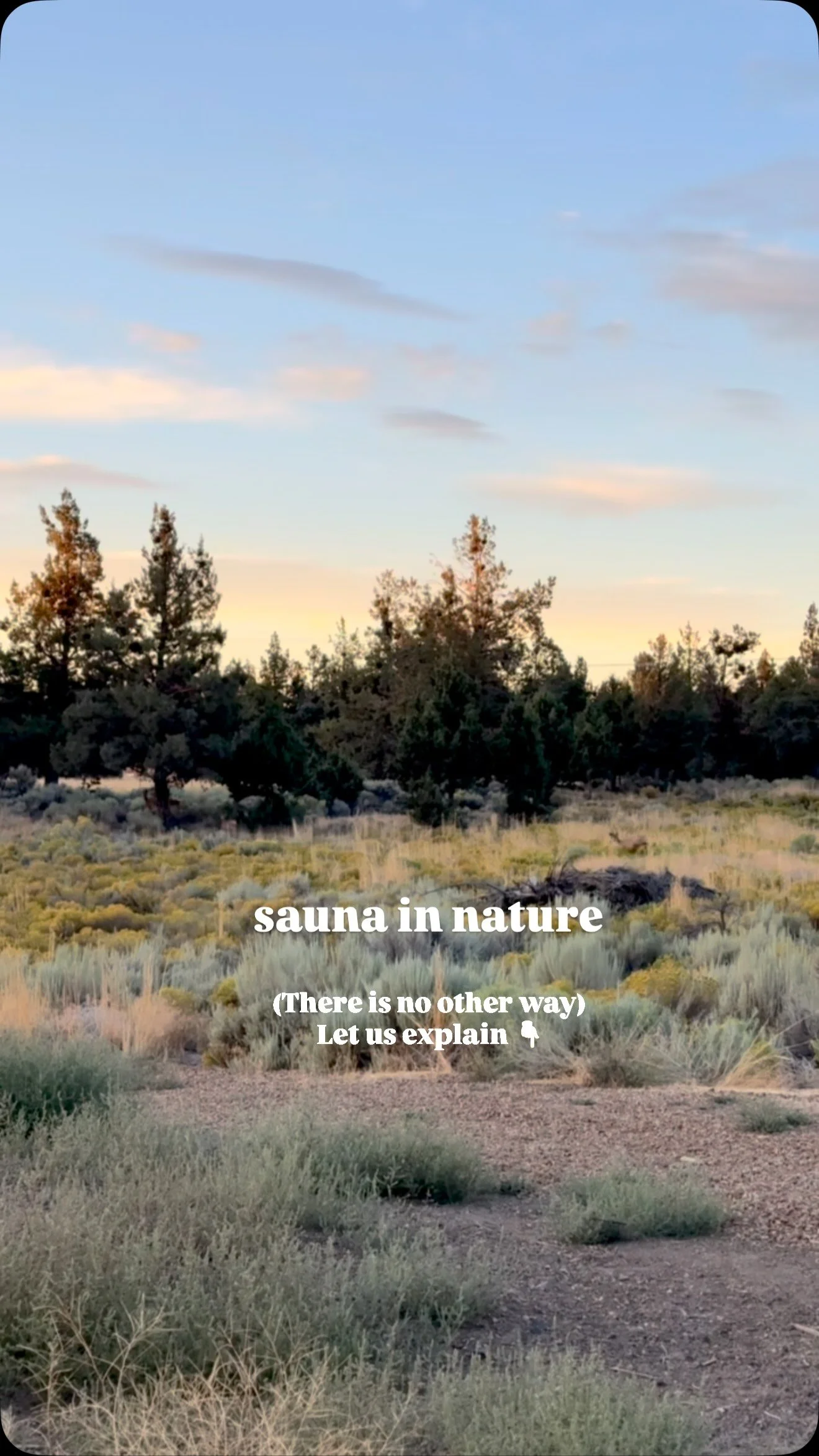 You don’t heal in isolation. You heal in relationship—with yourself, the land, and the living rhythm around you.
πβ¨β°οΈπβ°οΈβ¨π
This isn’t a trend. This is ancient remembering.
When you step into a wood-fired sauna in the forest or h