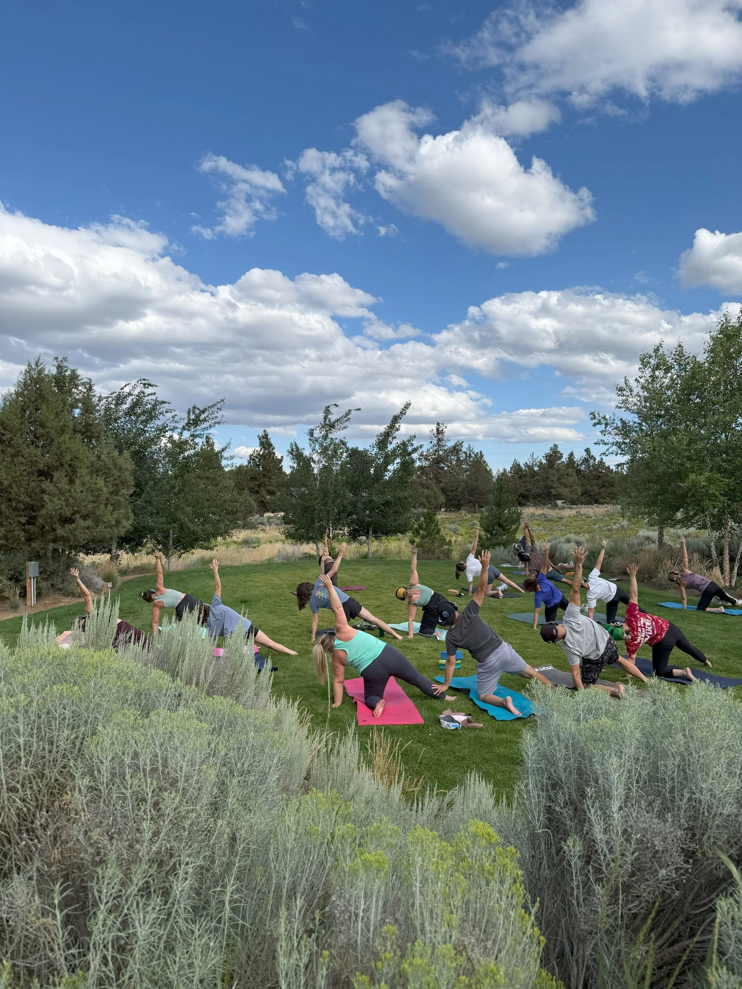Gather x Repose: Yoga Flow + Sauna
