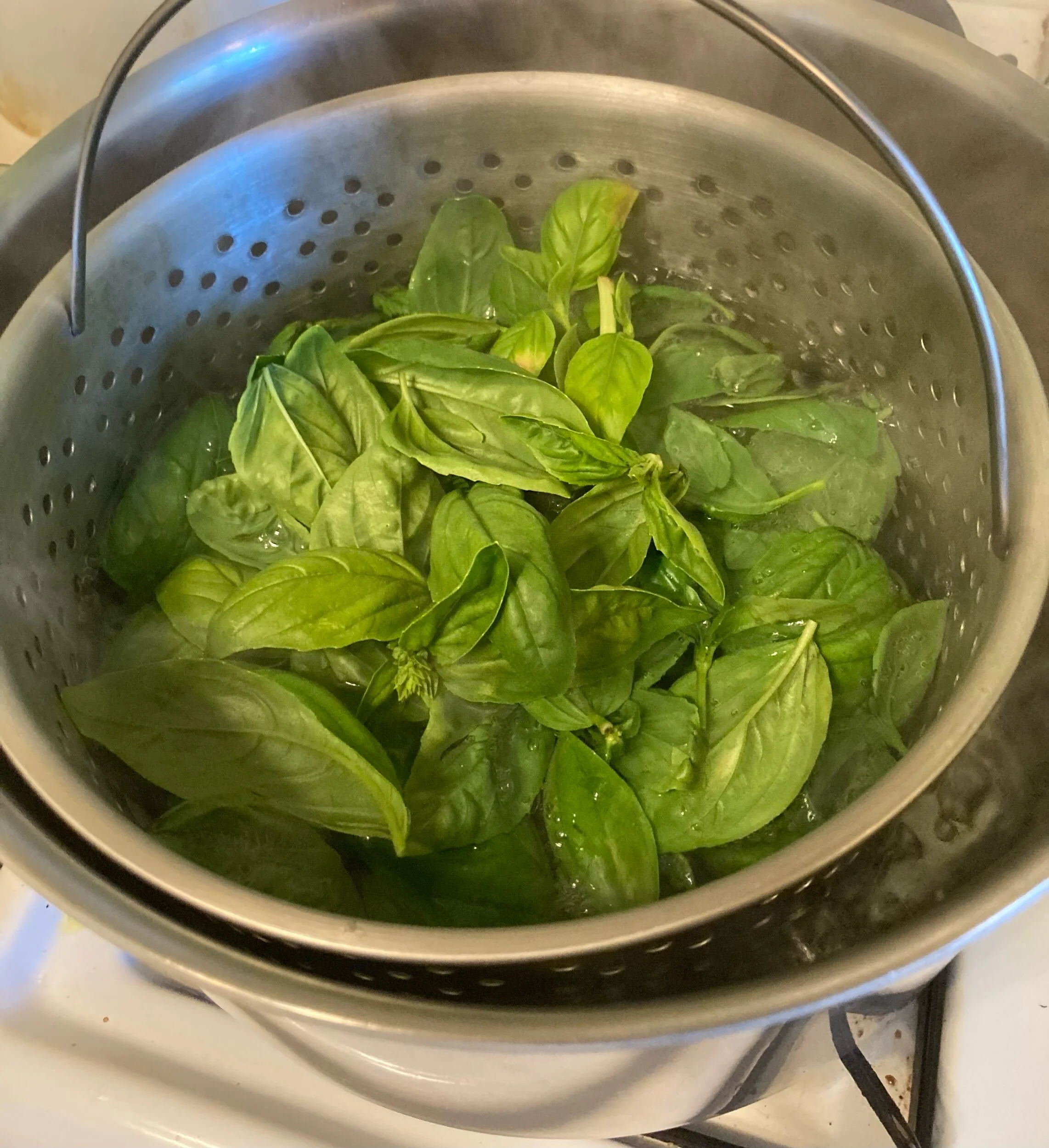 How to Freeze Fresh Basil — Mossygoat Farm