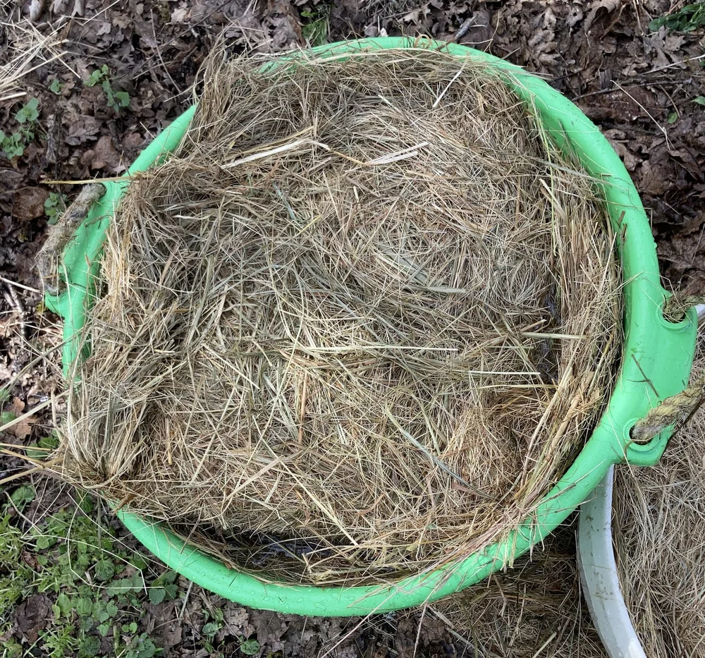 How and Why to Soak Hay — Mossygoat Farm