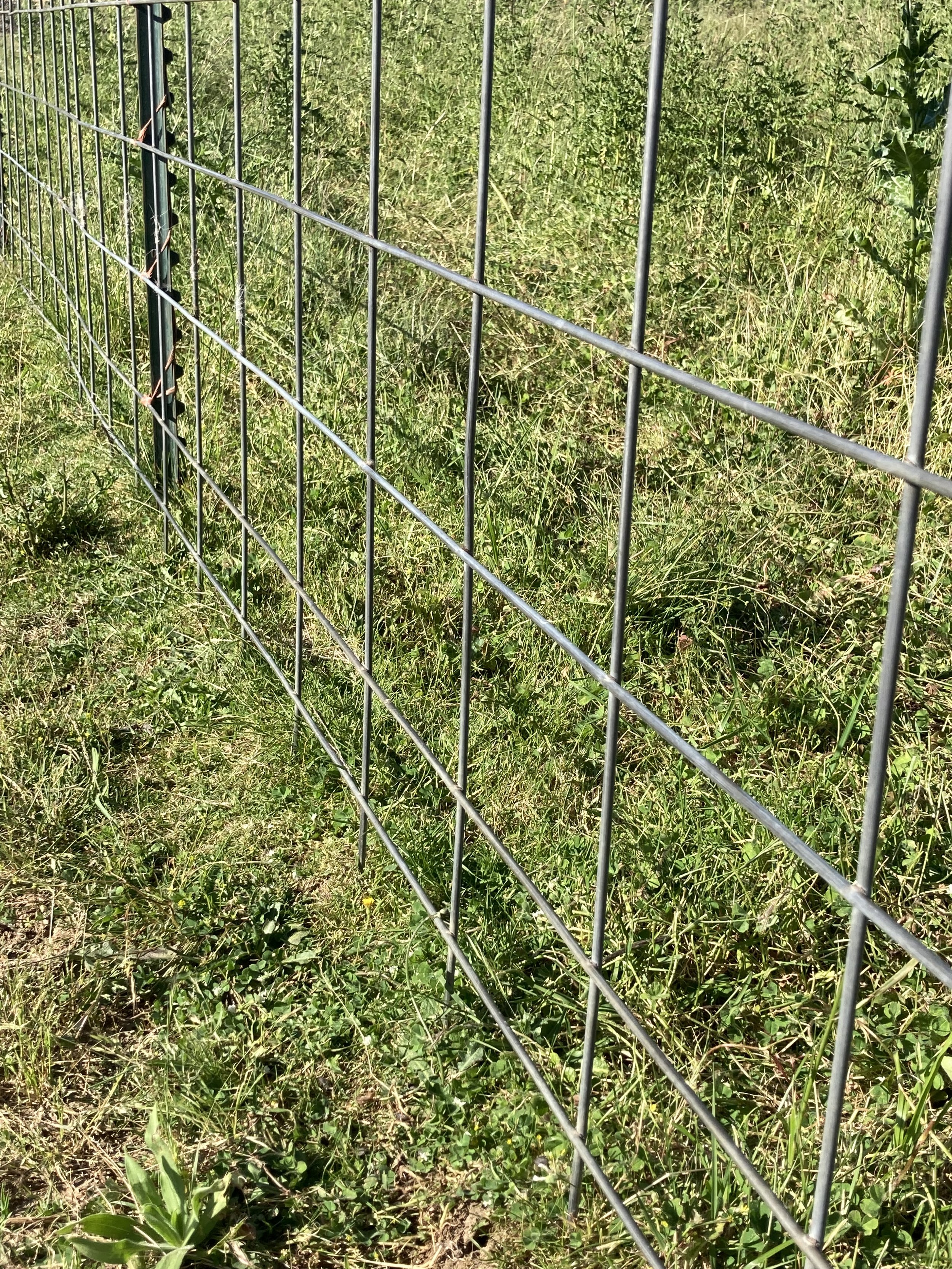 Guide to Homestead Fences Mossygoat Farm