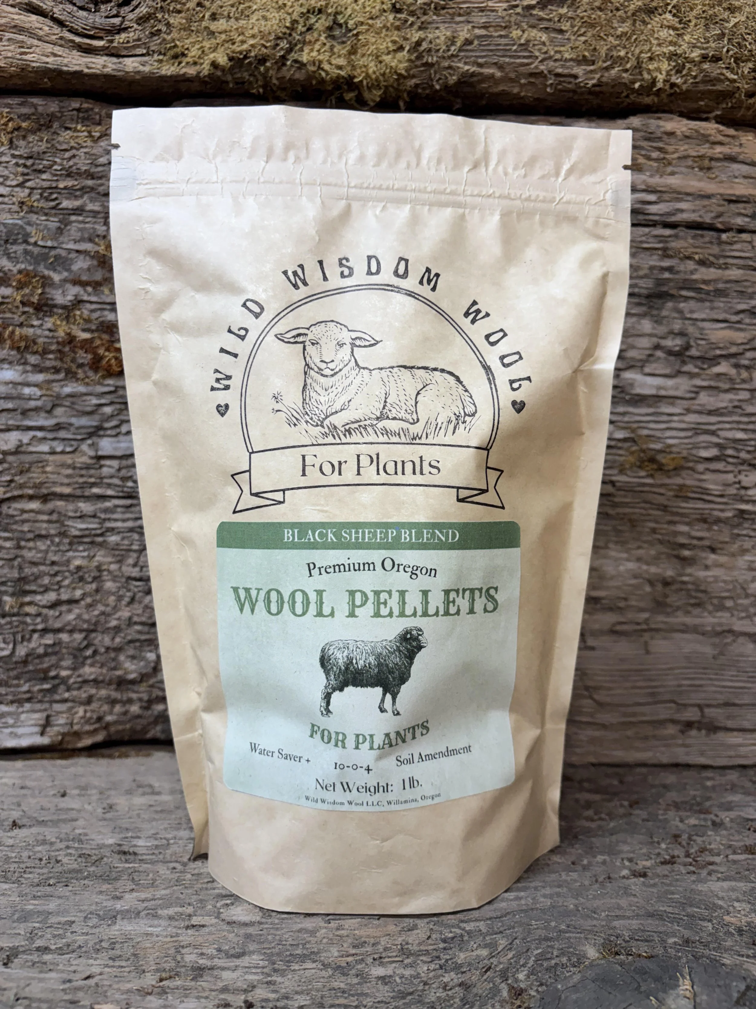 2026 BSB with background.jpg