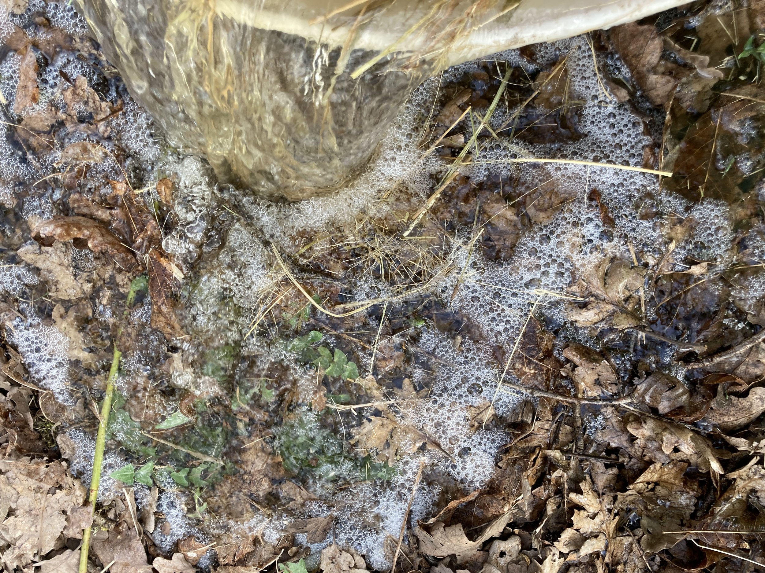 Soaking Hay For Laminitic Horses