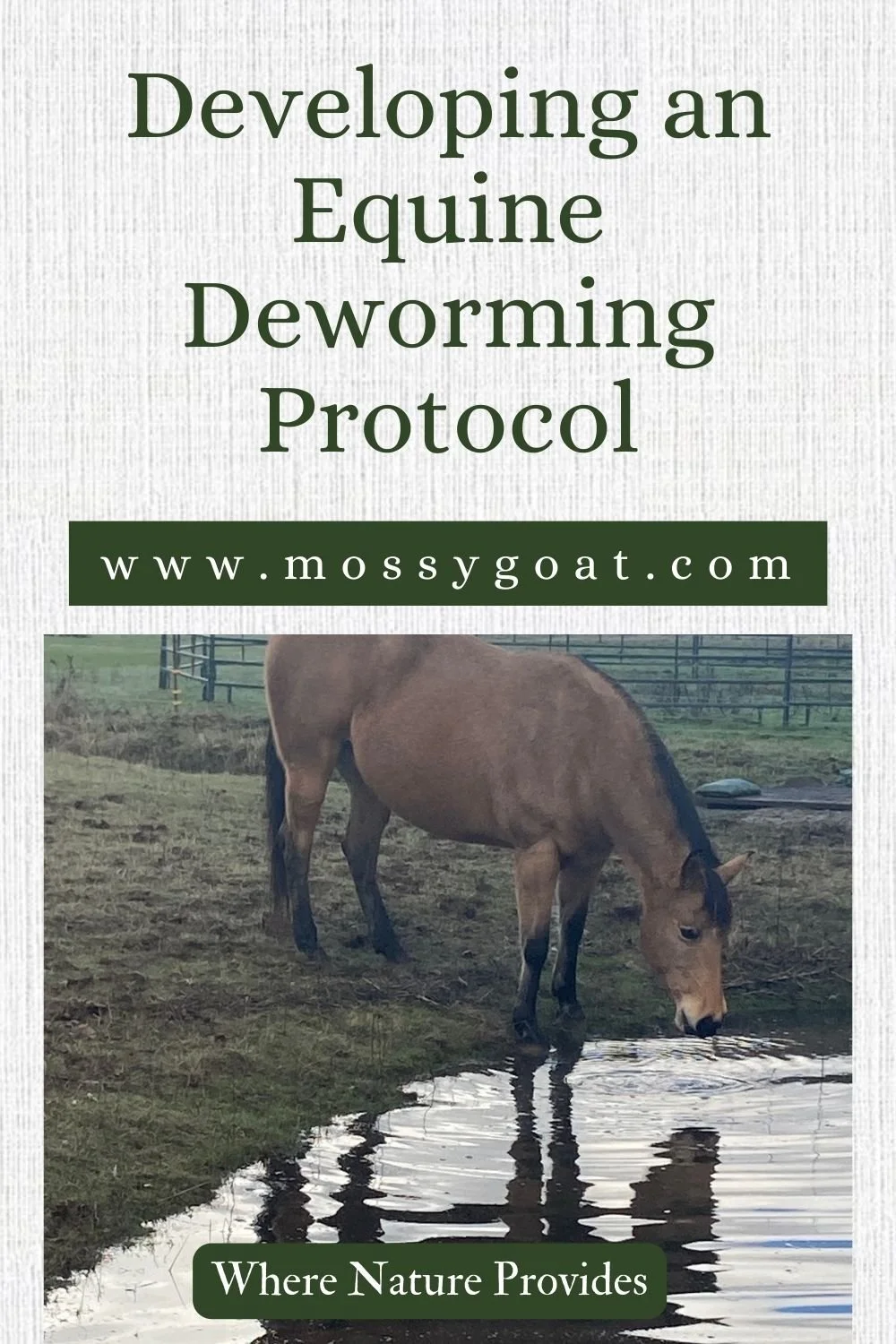 Equine 201 Developing a Deworming Protocol — Mossygoat Farm