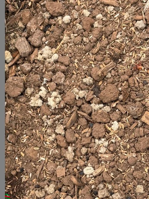 wild wisdom wool pellets mixed with dirt for water conservation and soil amendment