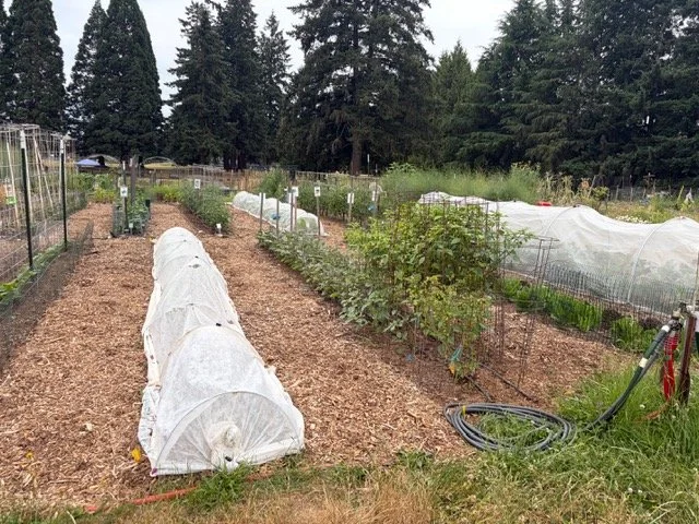 Wild Wisdom Wool Pellets in Action: Clackamas Community College