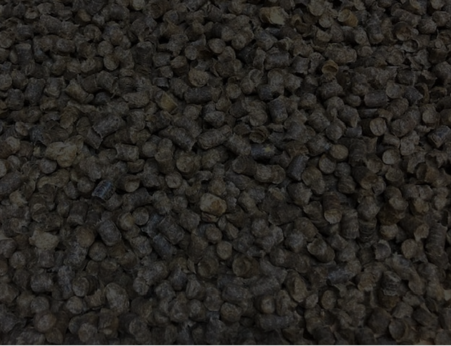 black sheep blend.png