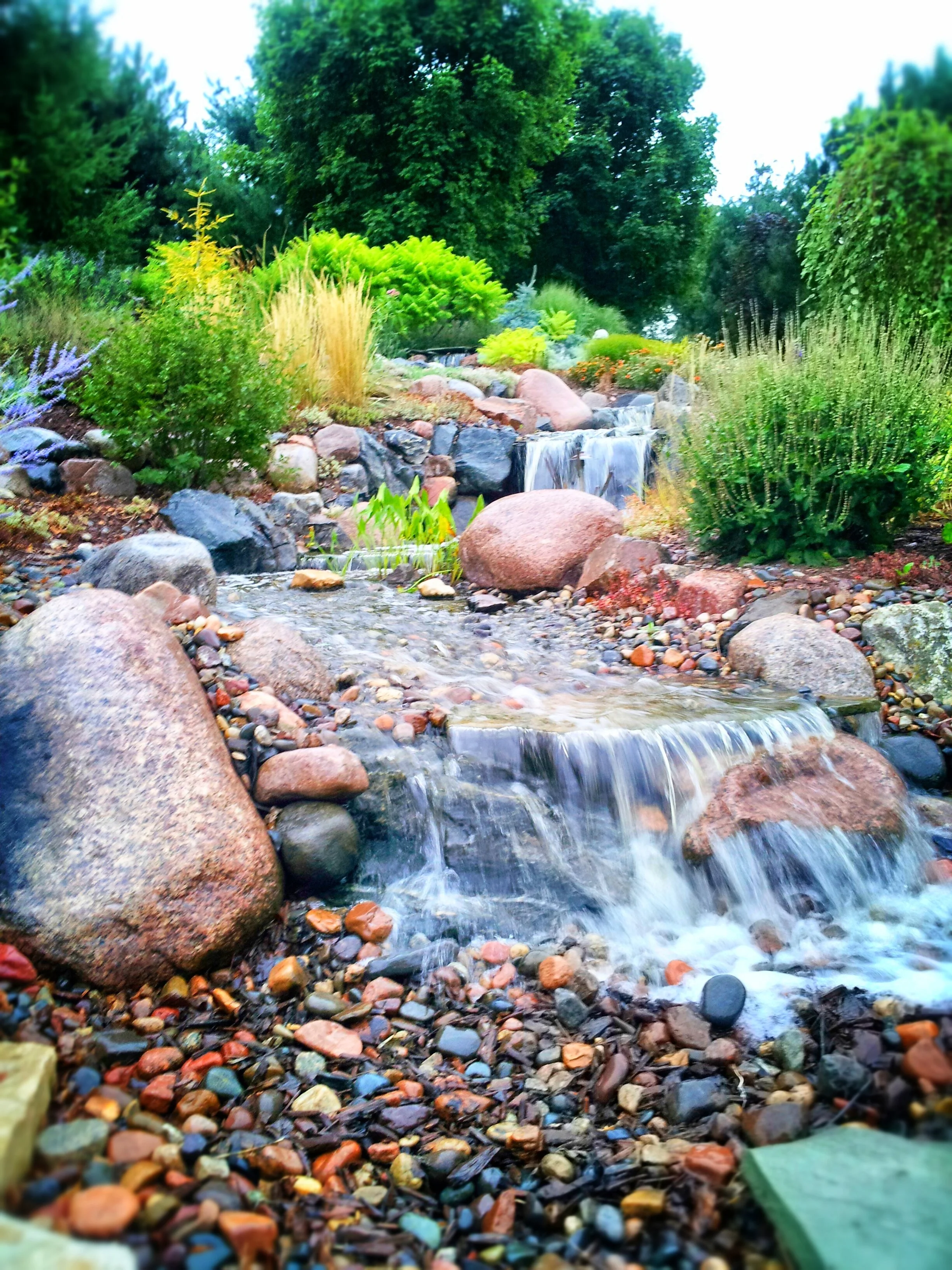 A small stream flowing over rocks in a lush garden with green bushes and trees.