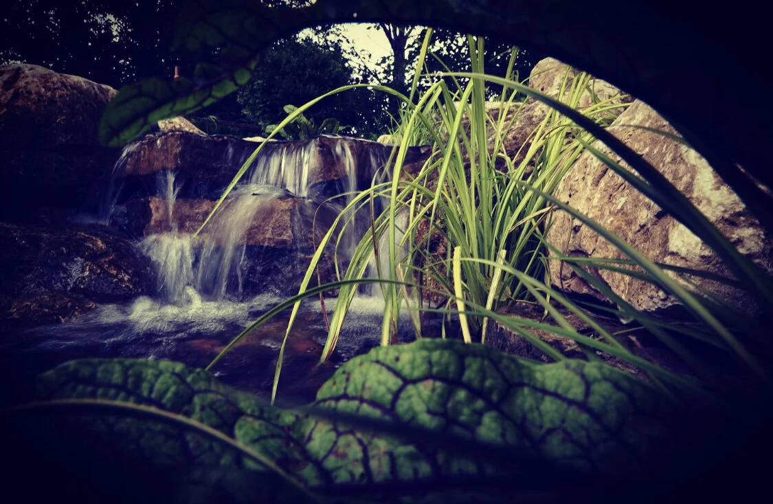 Small waterfall flowing over rocks surrounded by green plants and foliage