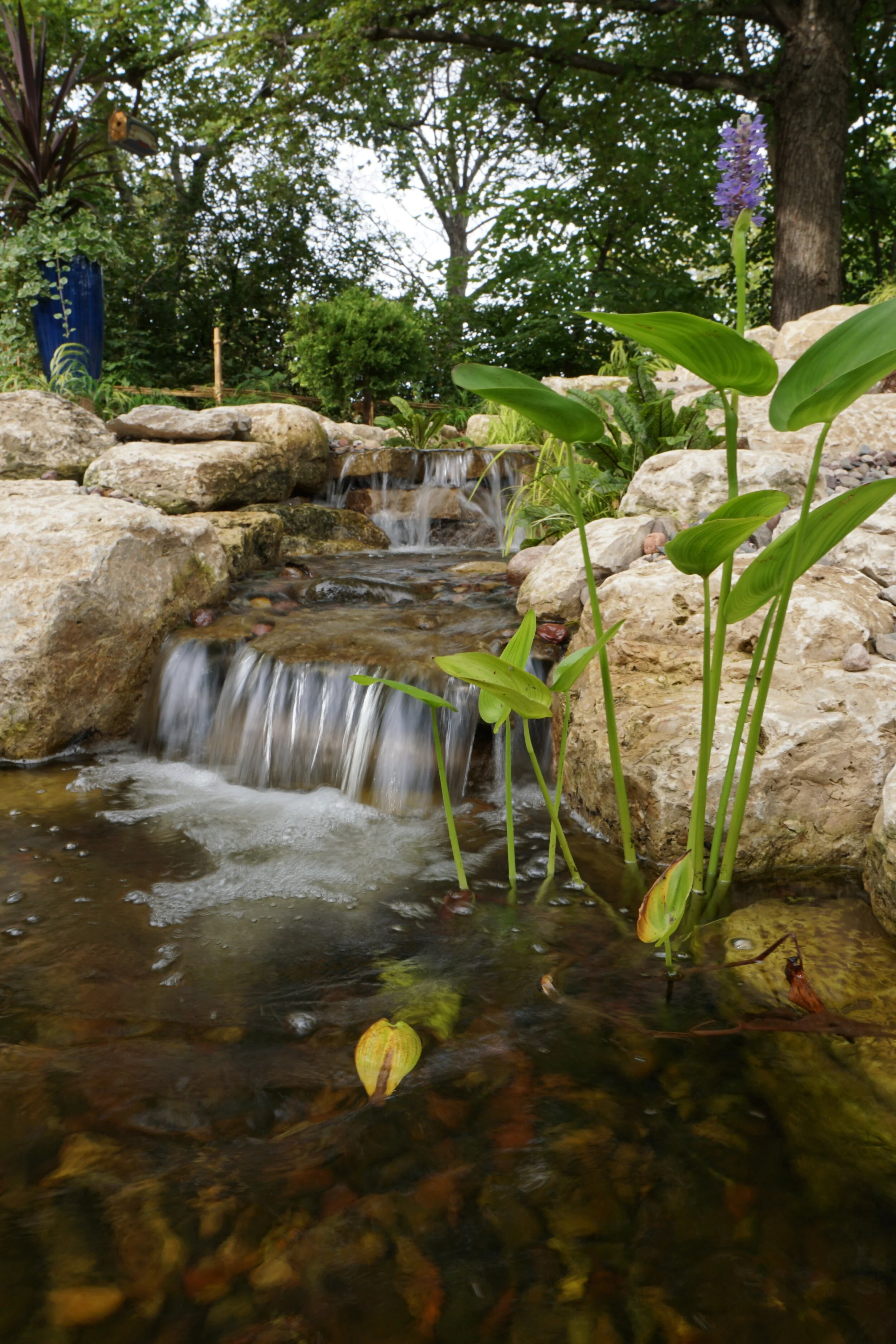 A small, multi-tiered waterfall with gently flowing water surrounded by rocks and lush green plants in a garden setting. Tall trees with dense foliage provide shade over the scene.