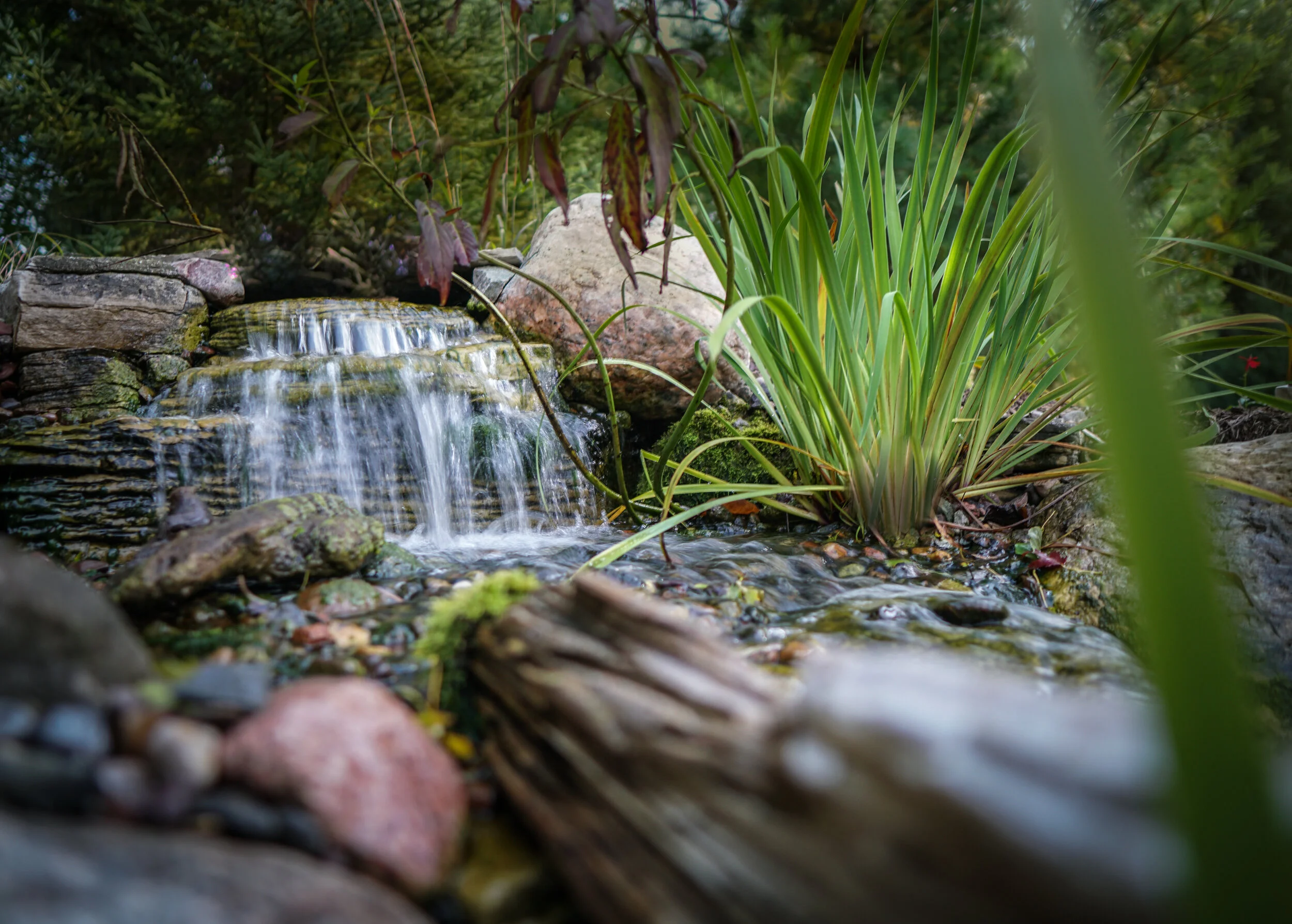 A small waterfall flowing over rocks surrounded by green plants and foliage.