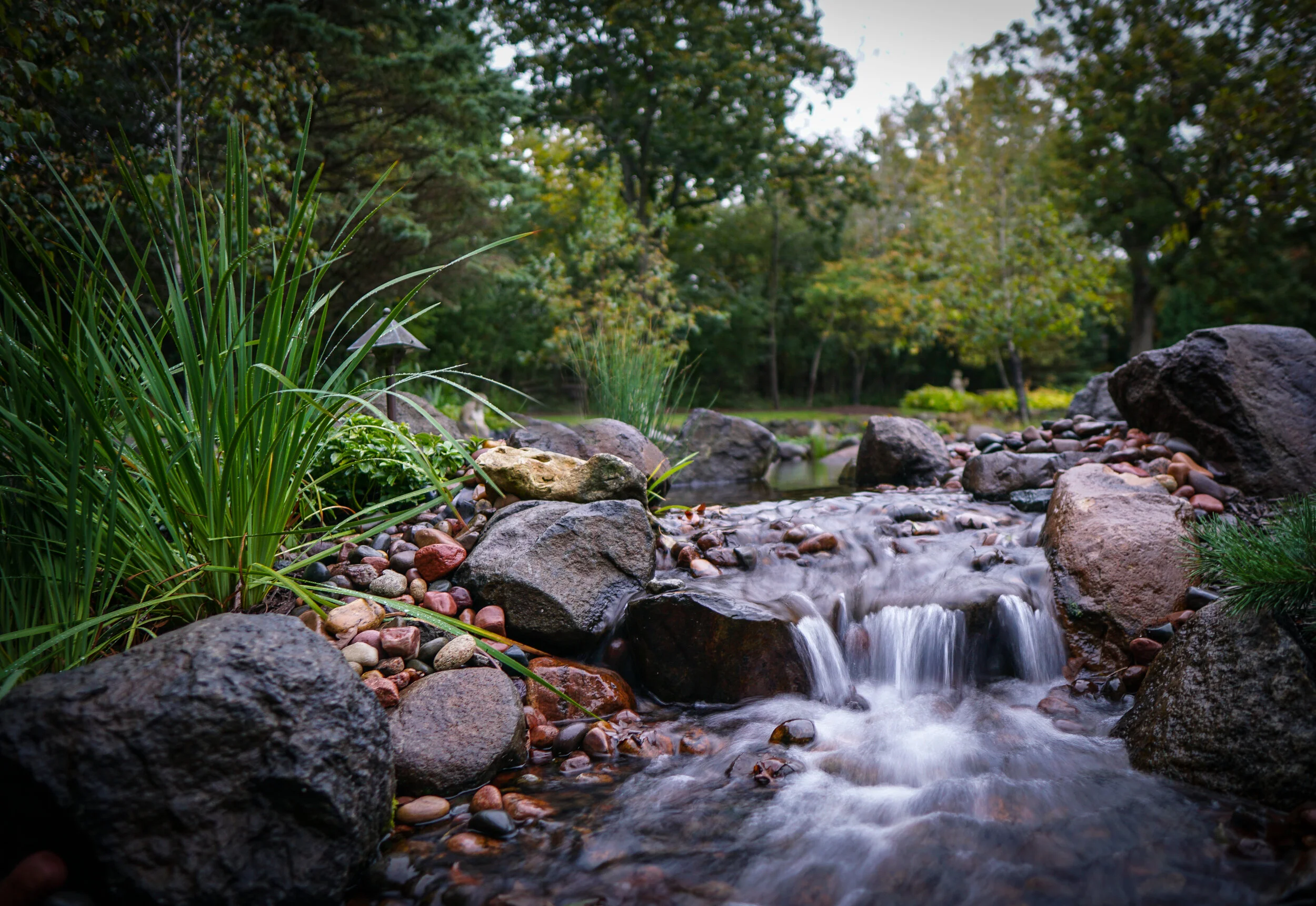 A small creek flowing over rocks with lush greenery and trees in the background.