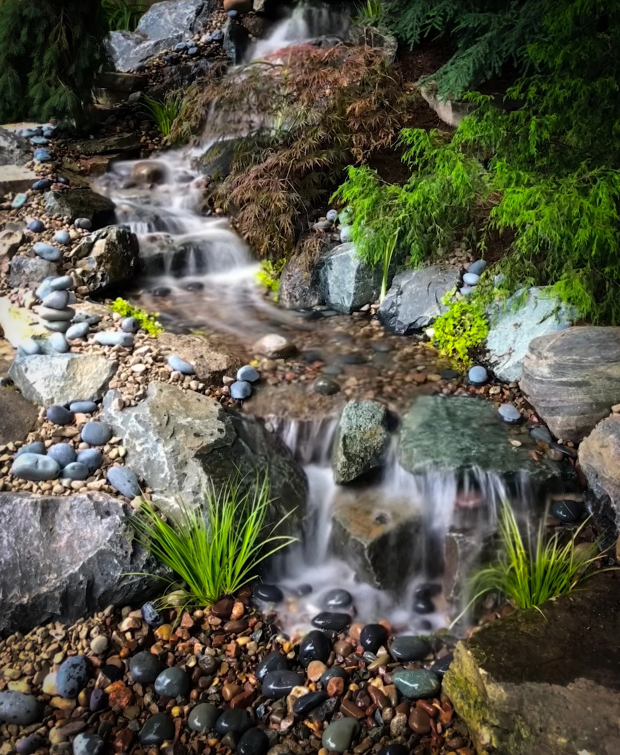 A small stream flowing over rocks, with various green plants and bushes surrounding the water.