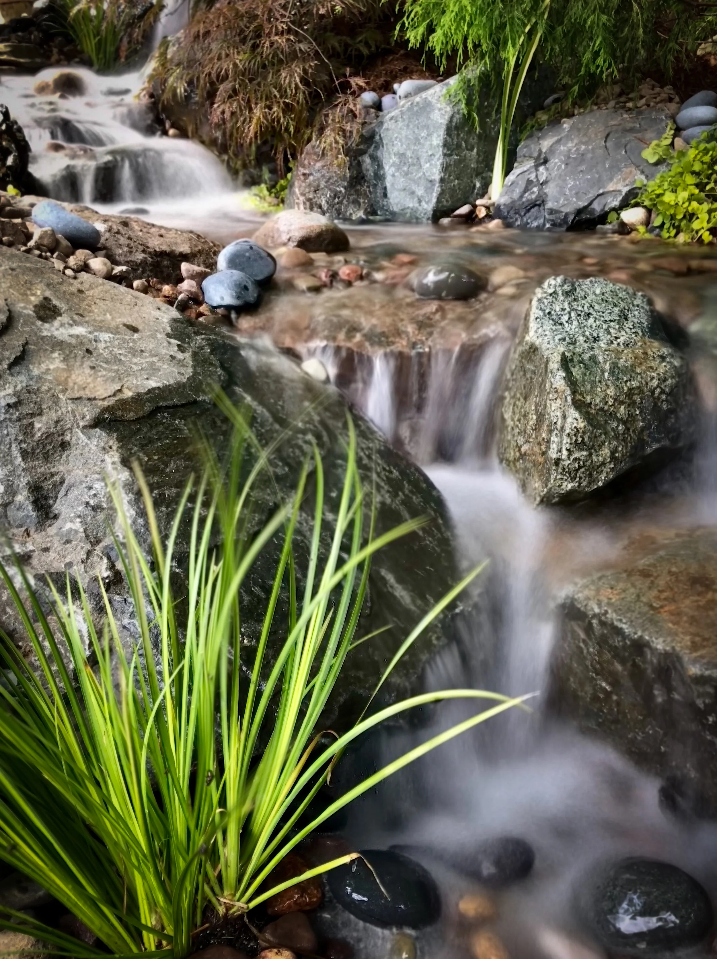 A small flowing creek surrounded by rocks, greenery, and grass.