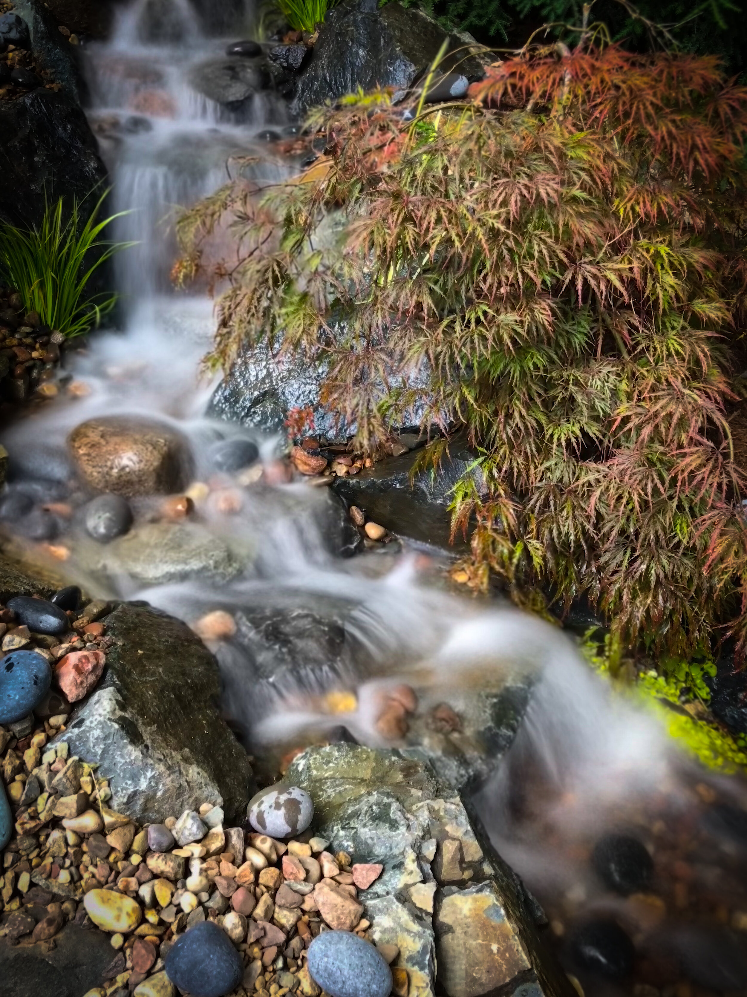 A small waterfall flowing over rocks surrounded by colorful pebbles and lush green and red foliage.