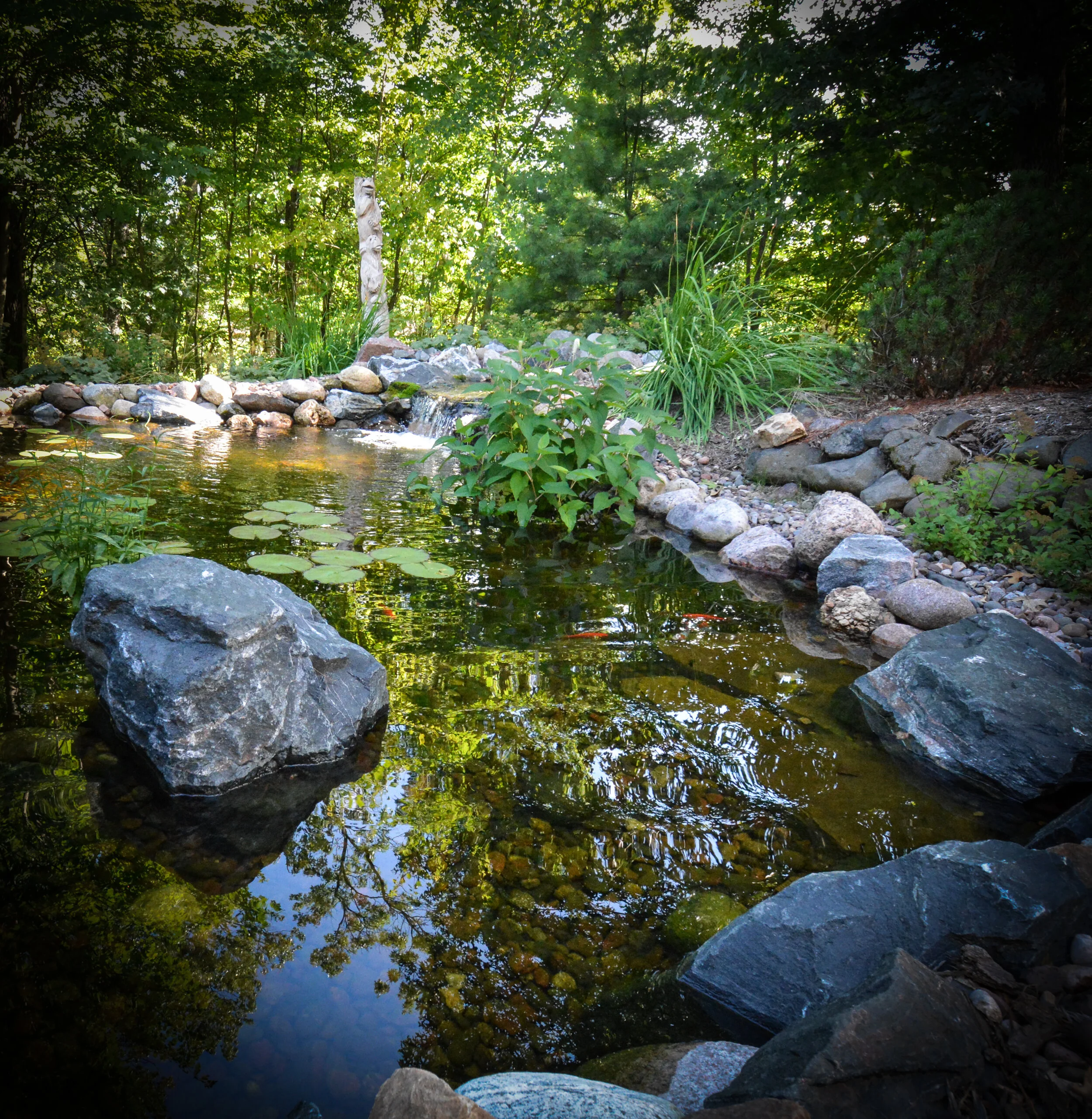 A river or stream flowing through a forest with green trees and rocks along the riverbank, sunlight filtering through the leaves.