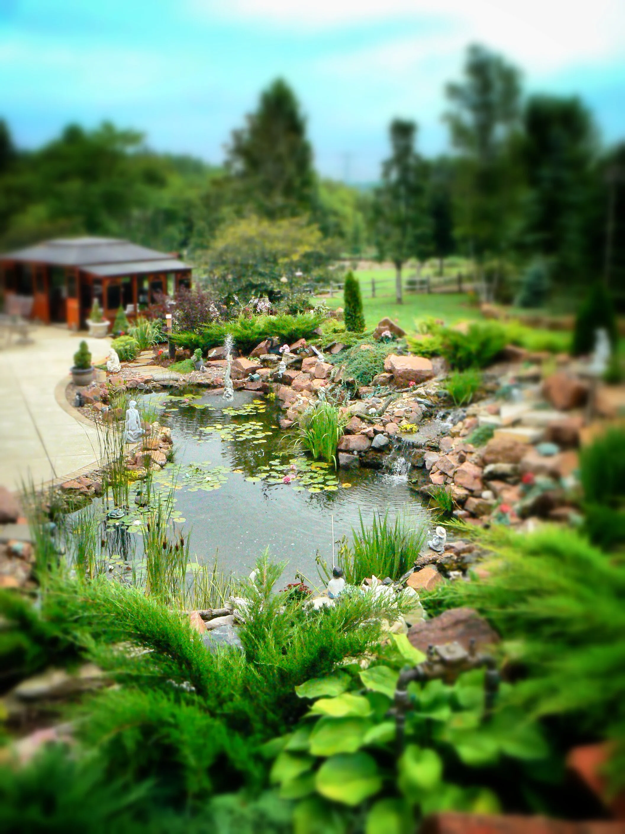 Lush garden with pond featuring lily pads, surrounded by rocks, statues, and various green plants, with trees and a gazebo in the background under a cloudy sky.