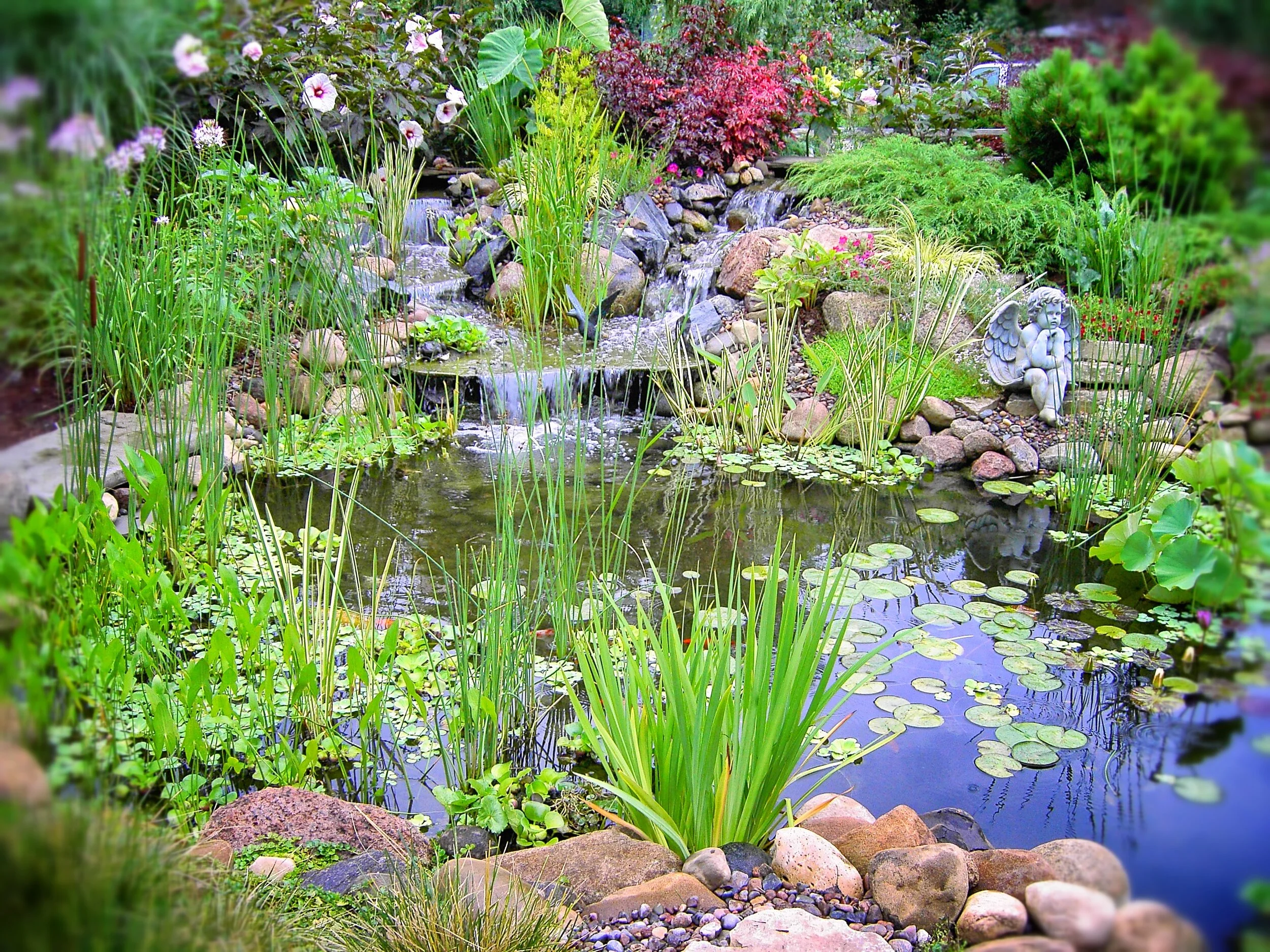 A small pond with lily pads, surrounded by rocks, green plants, and colorful flowers including pink and red blossoms, with a decorative stone angel sculpture in the garden.