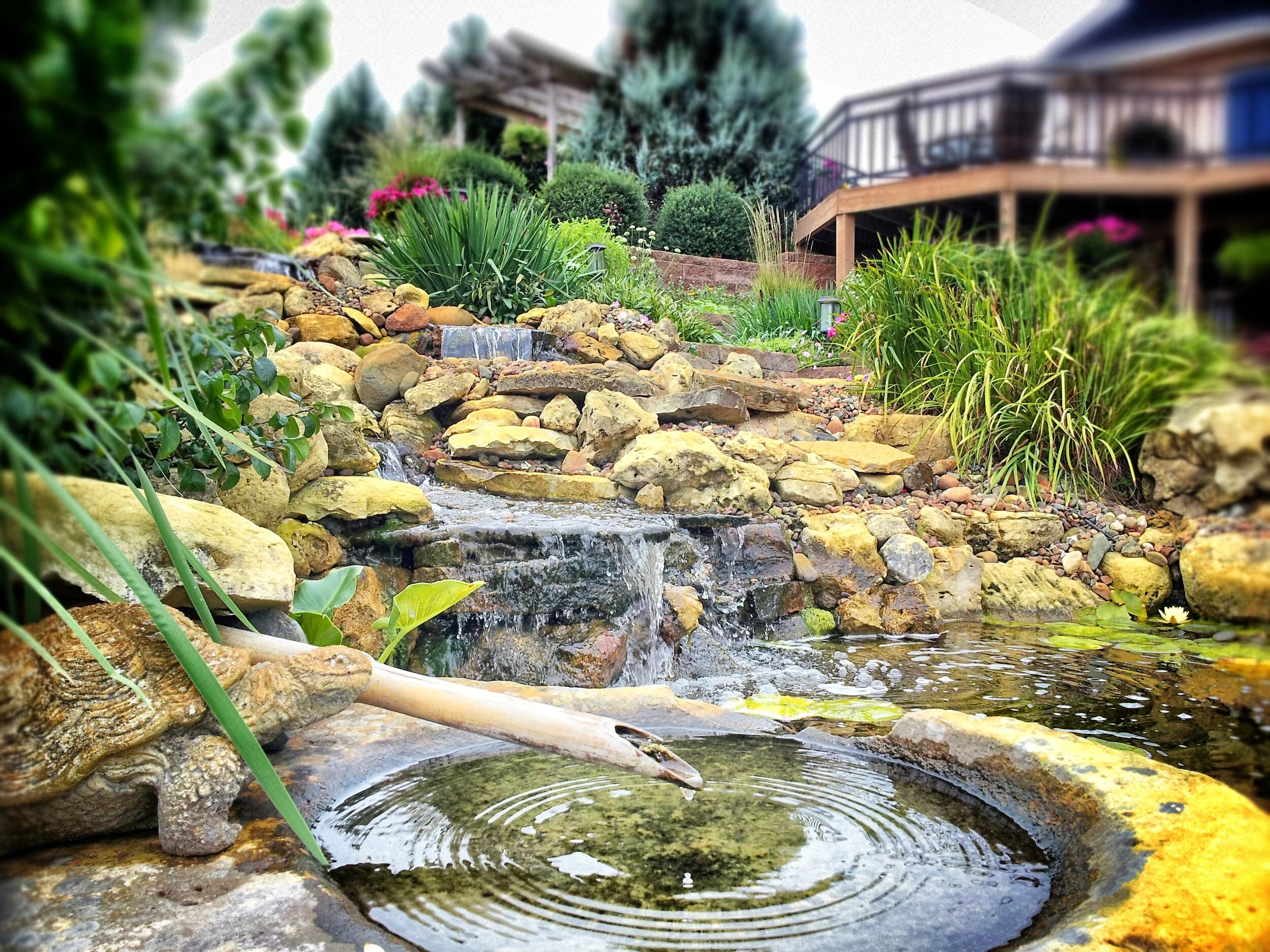A backyard garden with a small waterfall flowing over rocks, surrounded by lush green plants, and a wooden deck with a railing in the background.