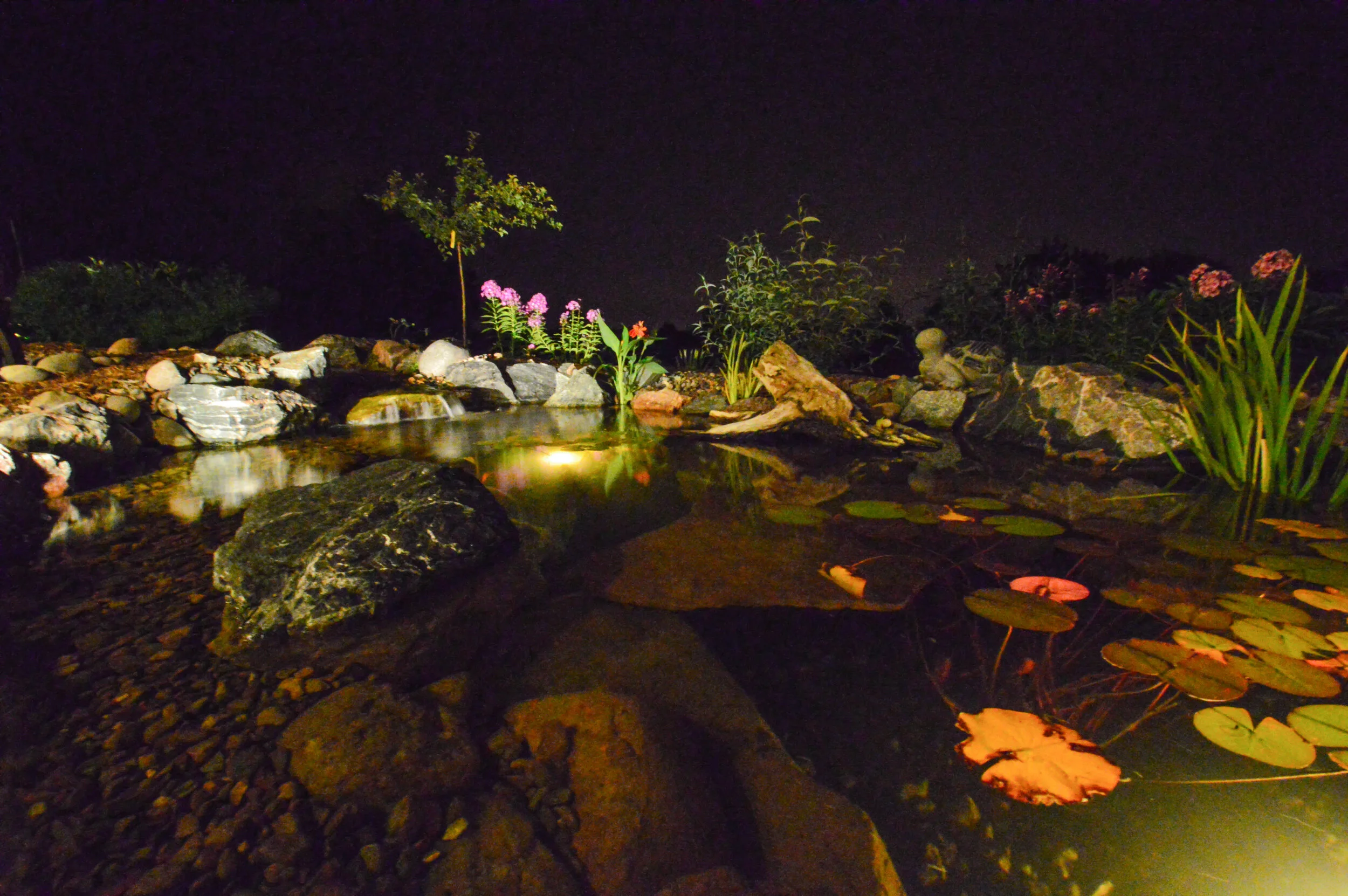 Nighttime scene of a small pond surrounded by rocks and plants, illuminated by underwater lighting, with a dark sky in the background.