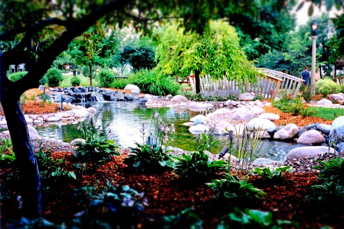 A peaceful garden with a small pond, rocks, and lush greenery, including trees and shrubs, with a small waterfall and a rustic wooden bridge in the background.
