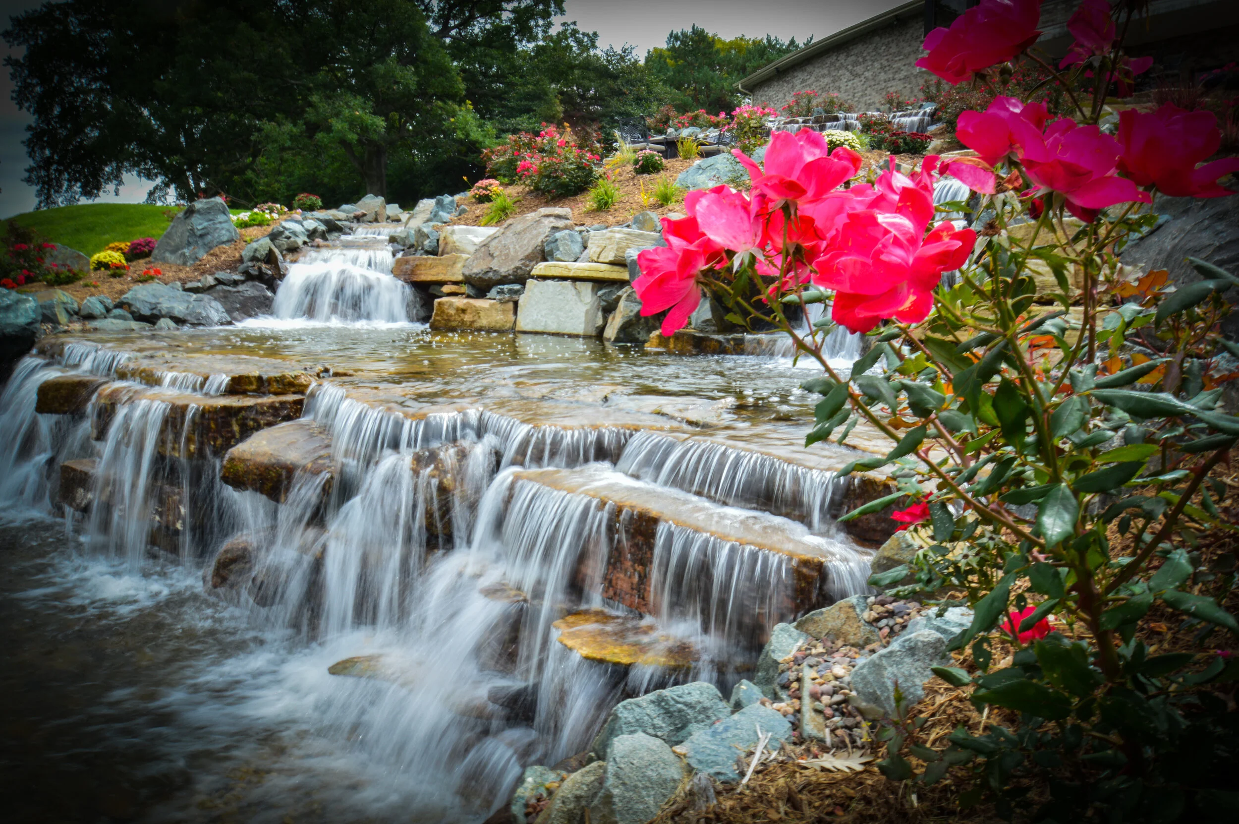 A backyard waterfall with flowing water cascading over rocks, surrounded by pink and white flowers, greenery, and trees, with a house in the background.